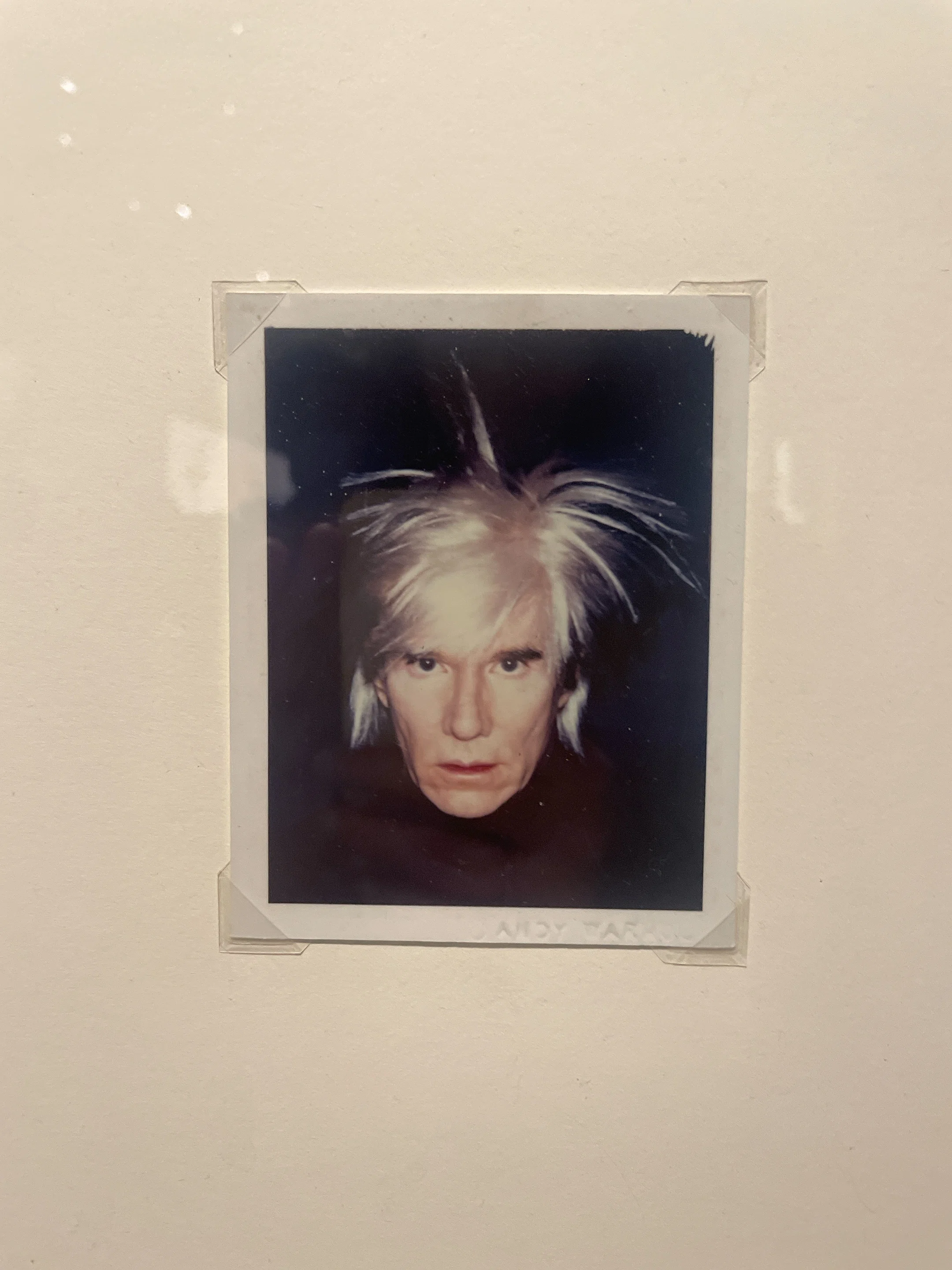 アートのすゝめ＃6｜ANDY WARHOL KYOTO（アンディ・ウォーホル