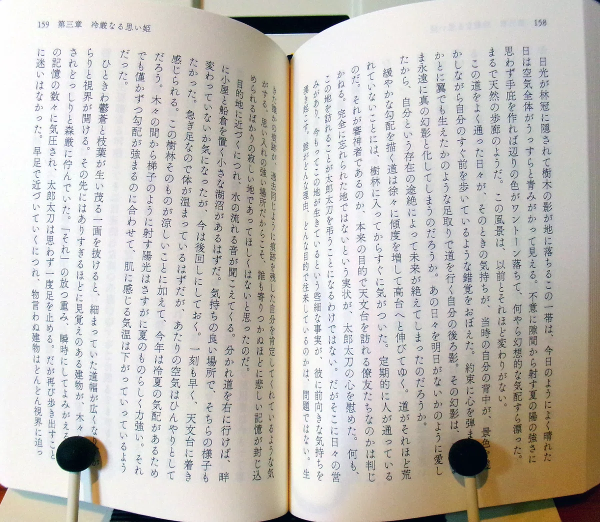 小説同人誌の装丁まとめ【2022年】｜化野/戯文舎