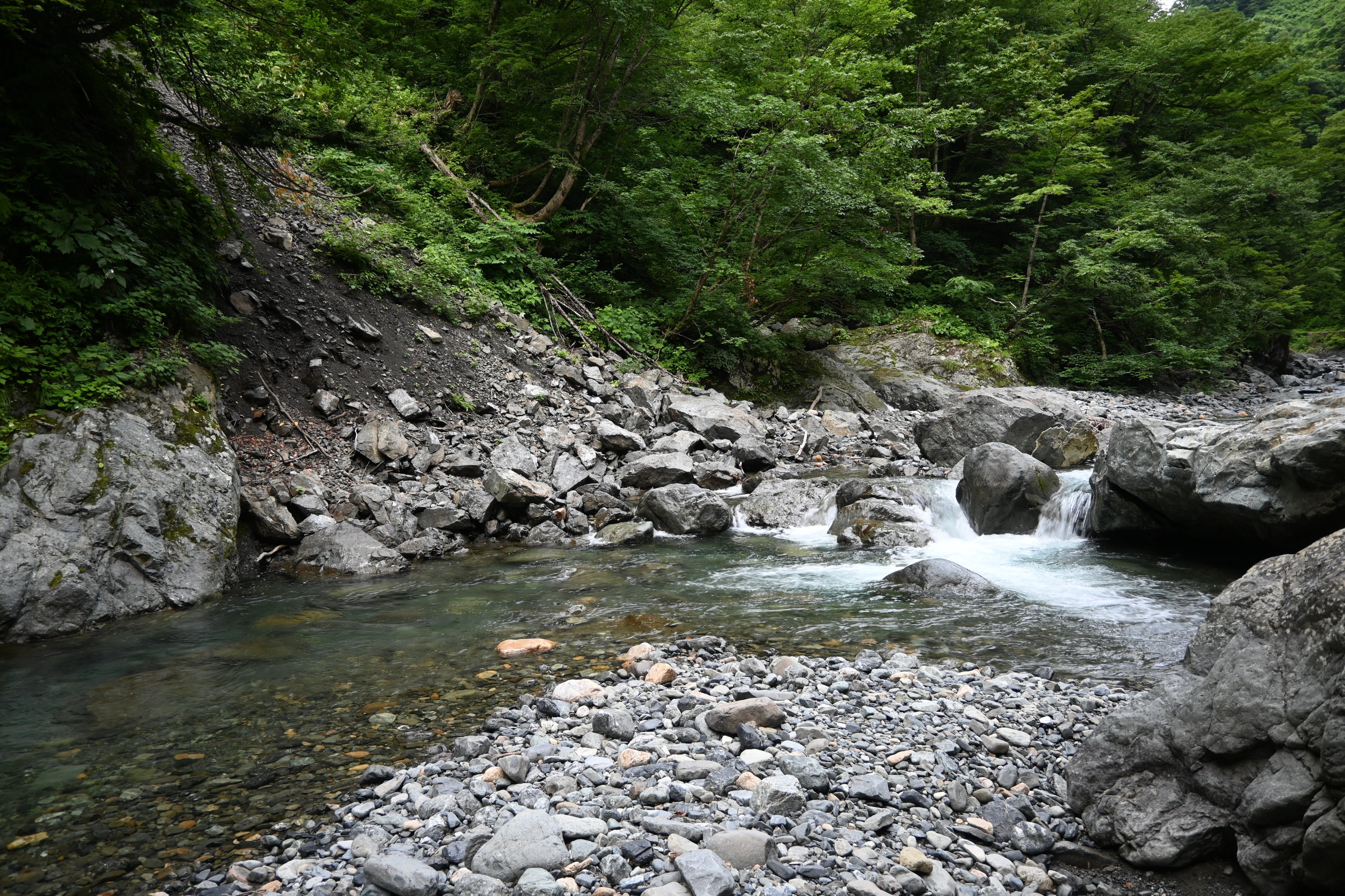 イワナ・ヤマメ 渓流魚の付き場を考える｜FF.BUM（エフエフドットバム）