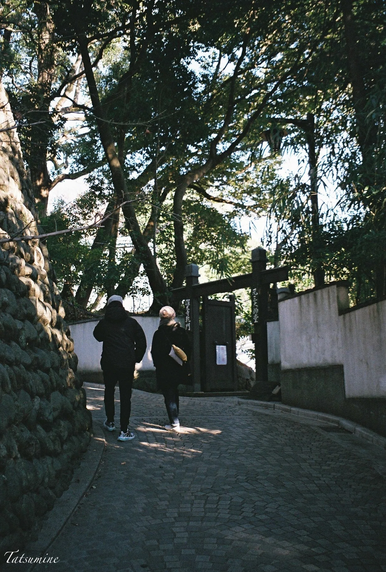 Canon Autoboy SⅡ 1ロールでさよなら｜tatsumine