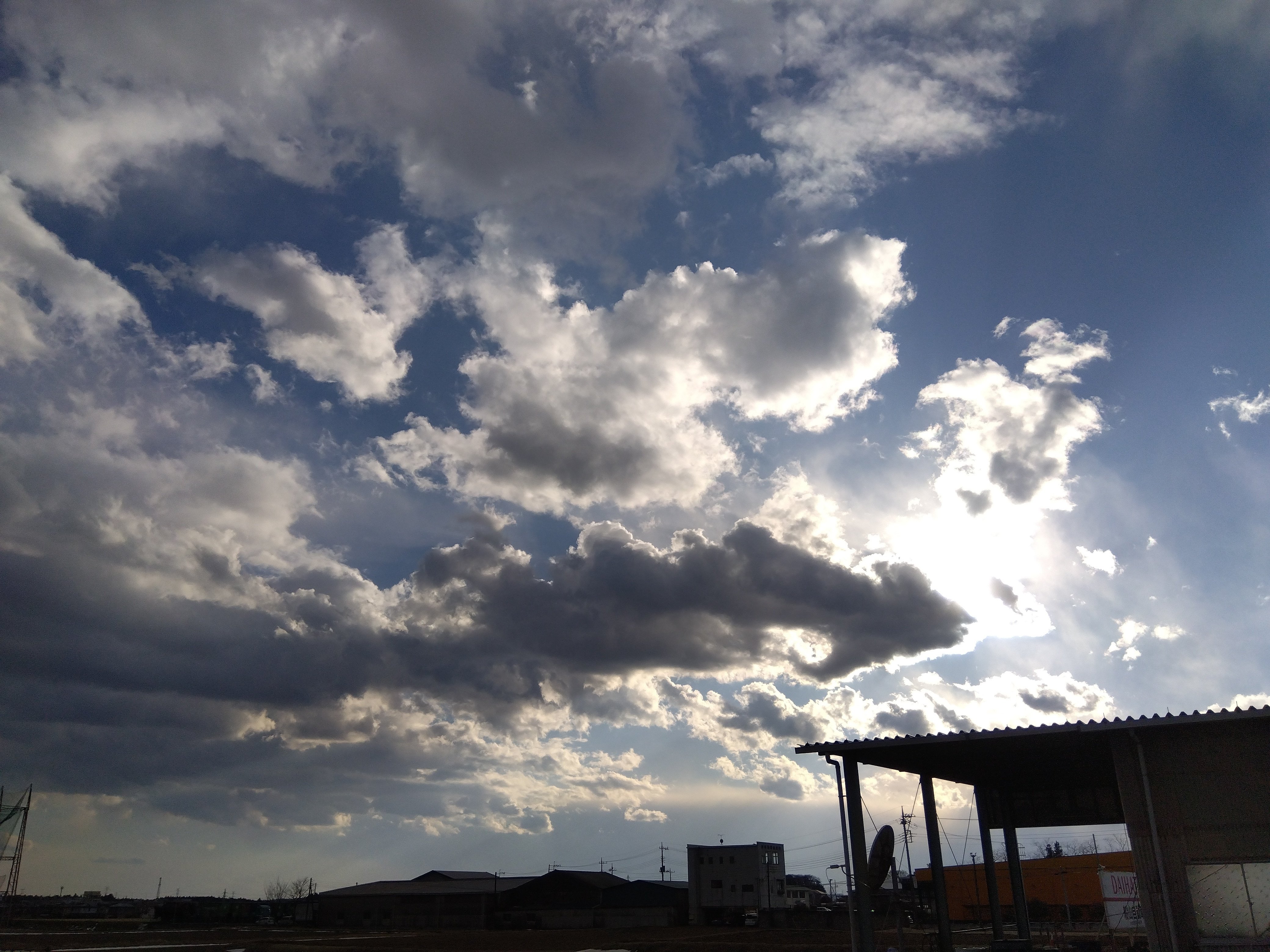 白日｜白猫カリノ