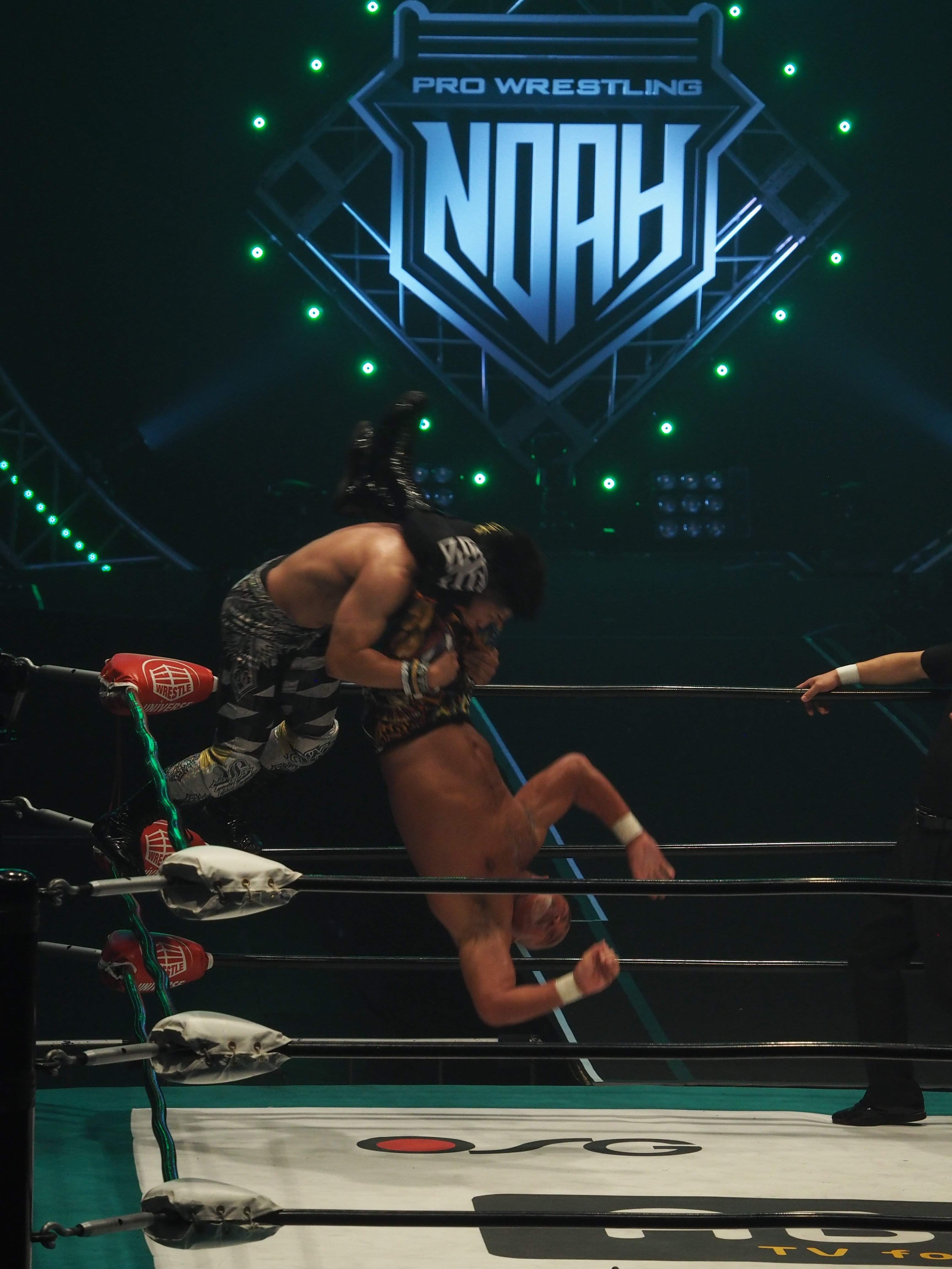 ノア所属の武藤敬司を見た、私の約2年弱について｜レンブラント
