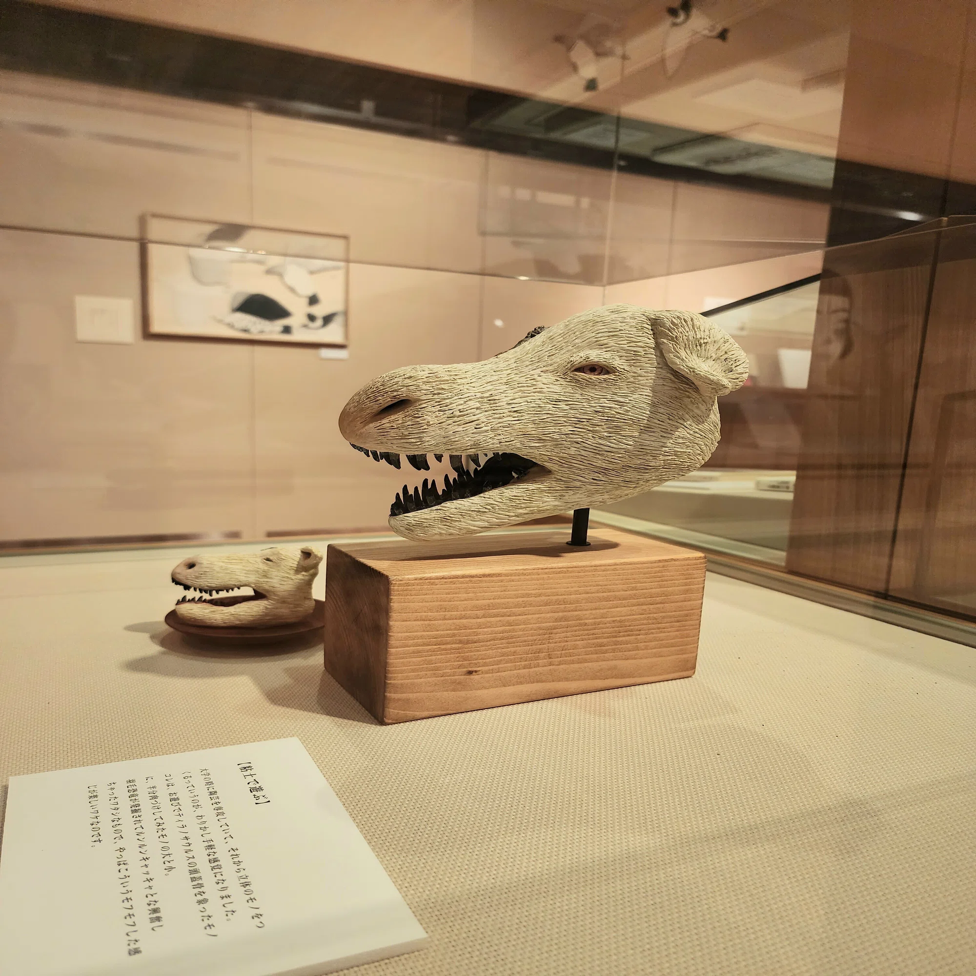 東京 国立科学博物館 恐竜 ランチョンマット 持ちこたえる