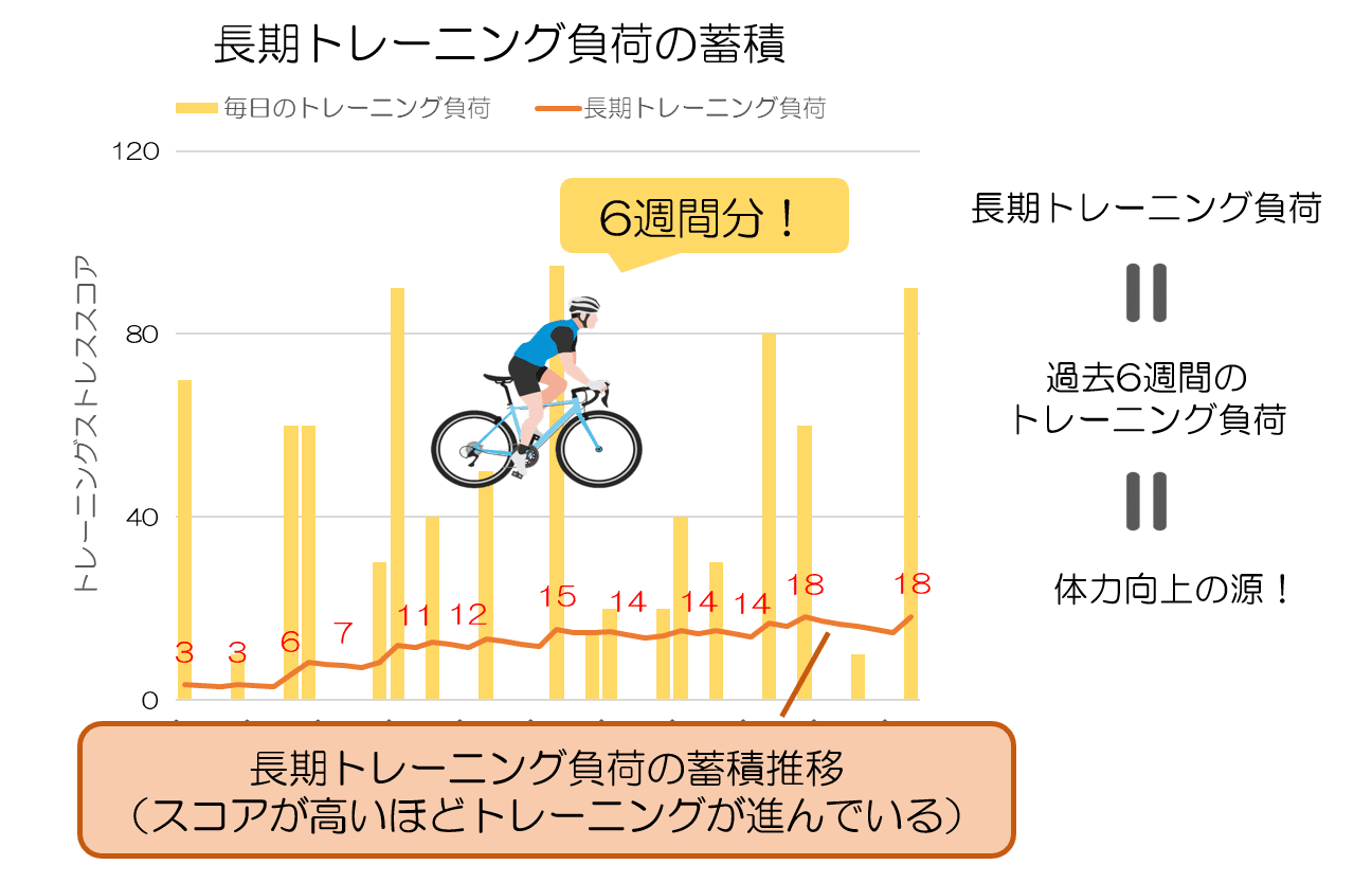 体力向上の源は6週間分のトレーニングにあり｜KAWASAKI