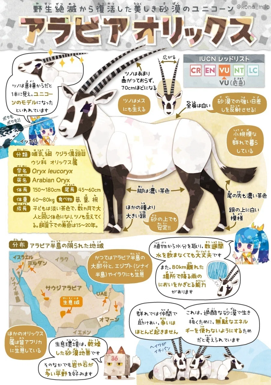 絶滅危機動物ファイル03「アラビアオリックス」｜キクチミロ