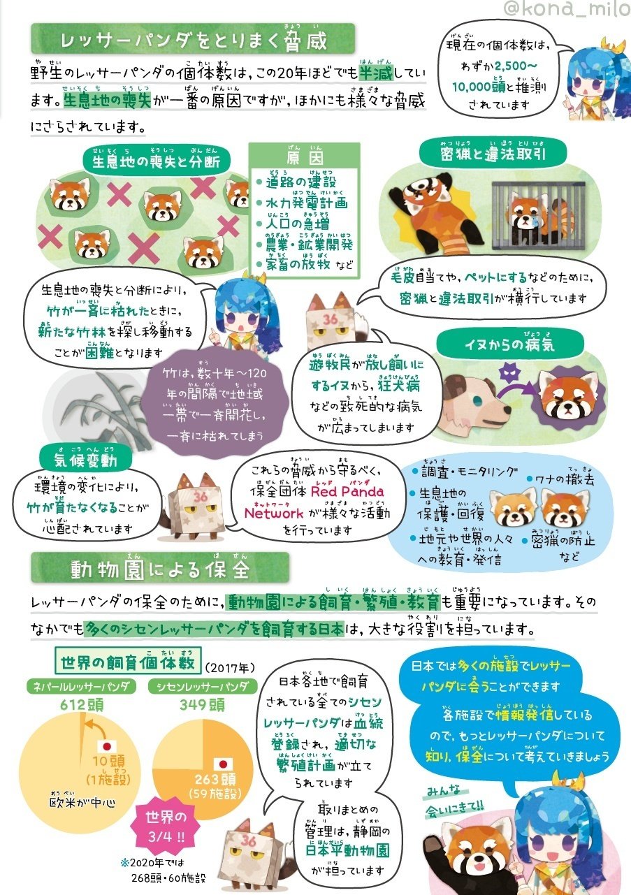 【レッサーパンダ】【2点まとめ】 様 リクエスト 2点 まとめ商品 ZXまとめて取引ok様 リクエスト 2