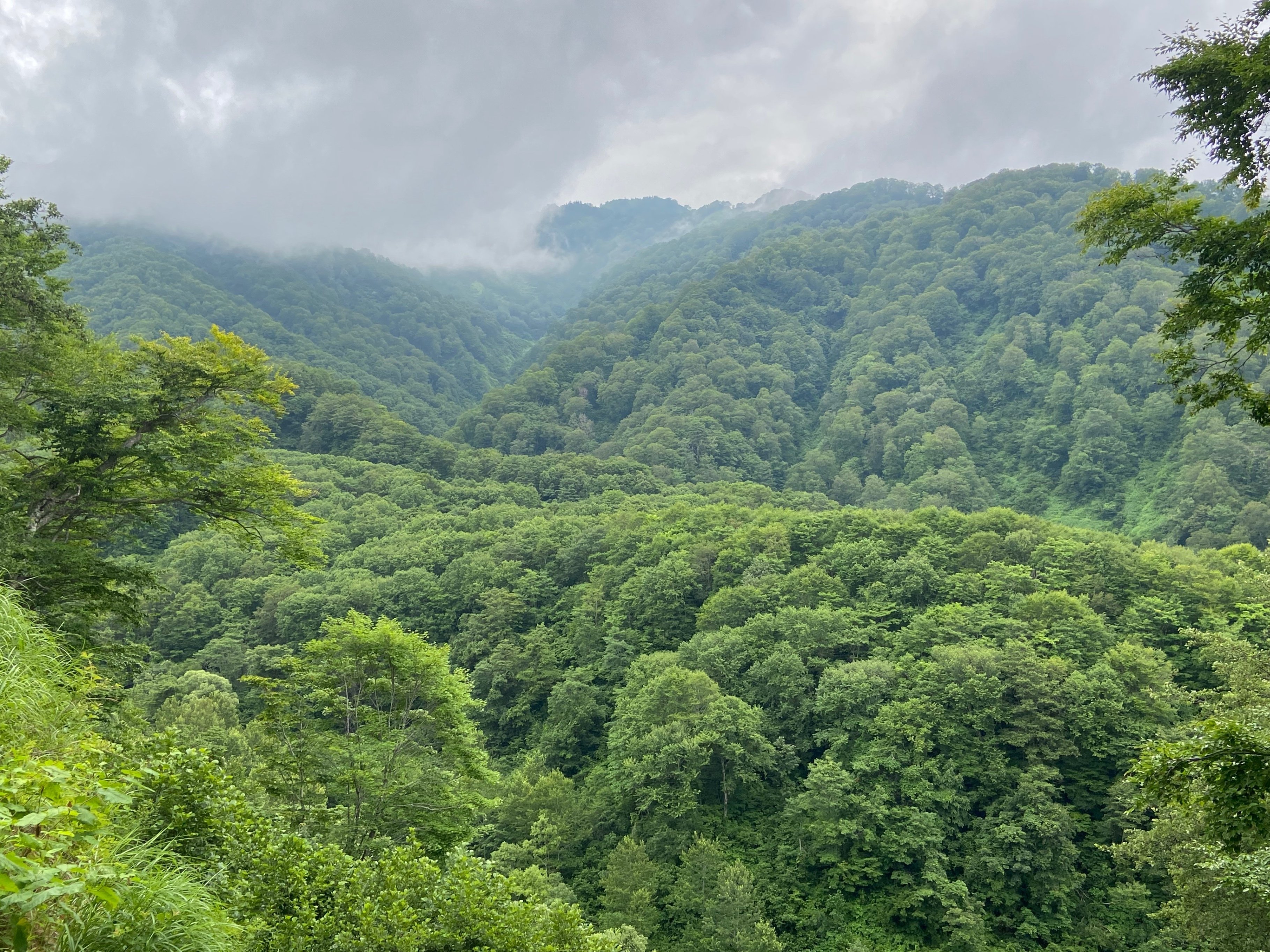 森のみち・木曽路 〜二輪で駆ける、世界有数の温帯針葉樹林〜 その③