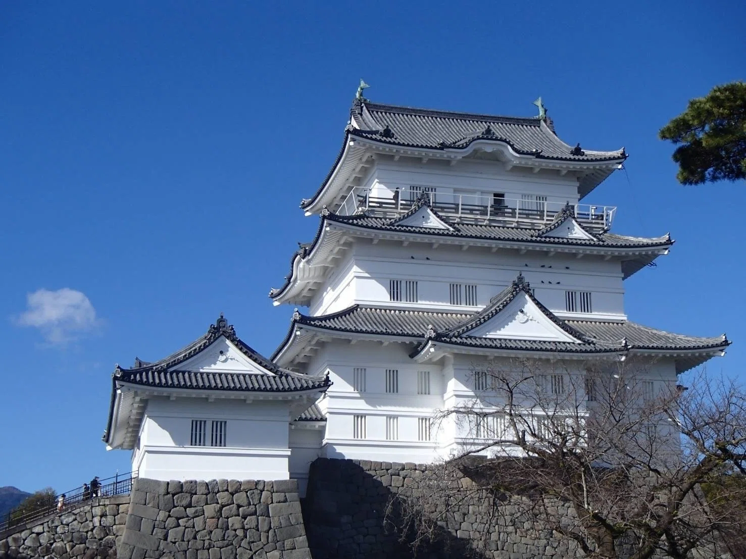 城下町をあるく 〜神奈川県小田原市①〜｜山吹みどり