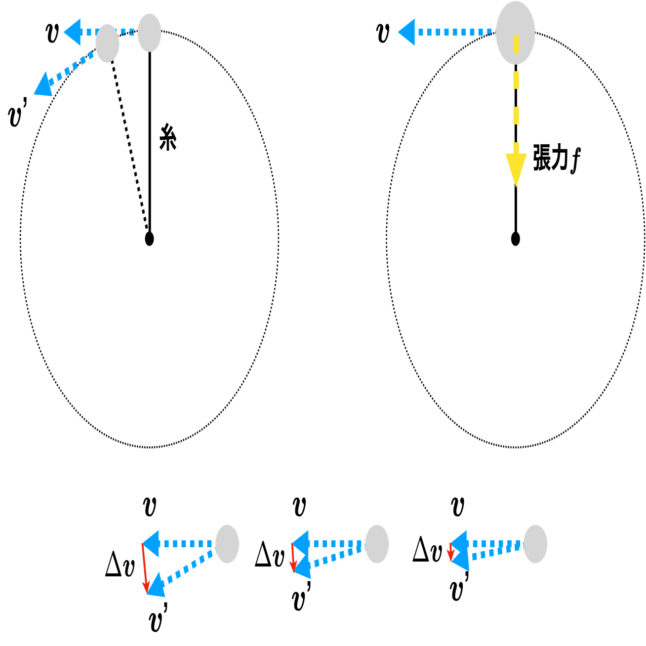 動かして学ぶバイオメカニクス #18 〜動力の力ベクトルと速度ベクトル