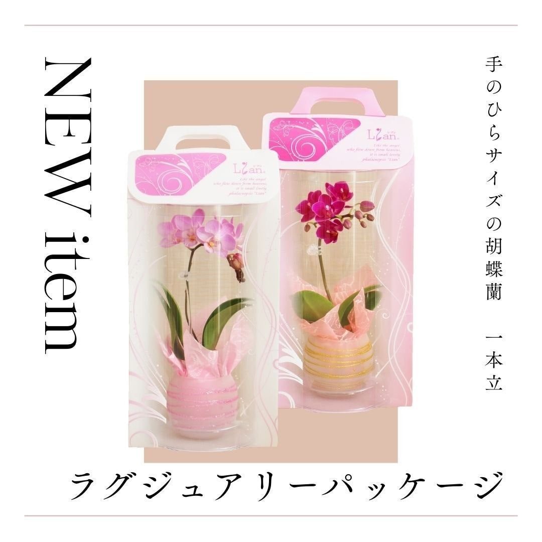 世界でいちばん花を贈る日inフラワーバレンタイン・ホワイトデー@胡蝶