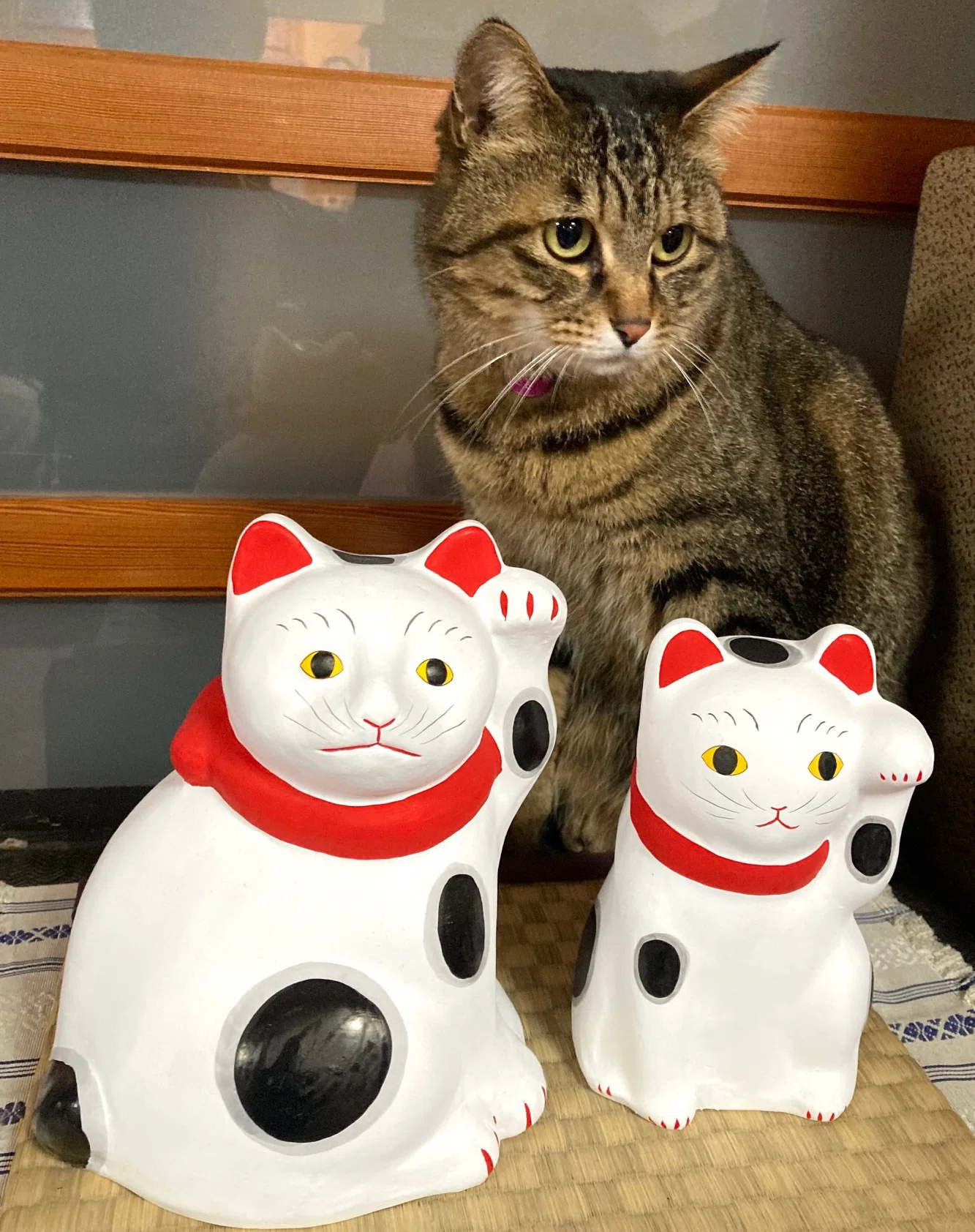 猫三昧｜猫太郎