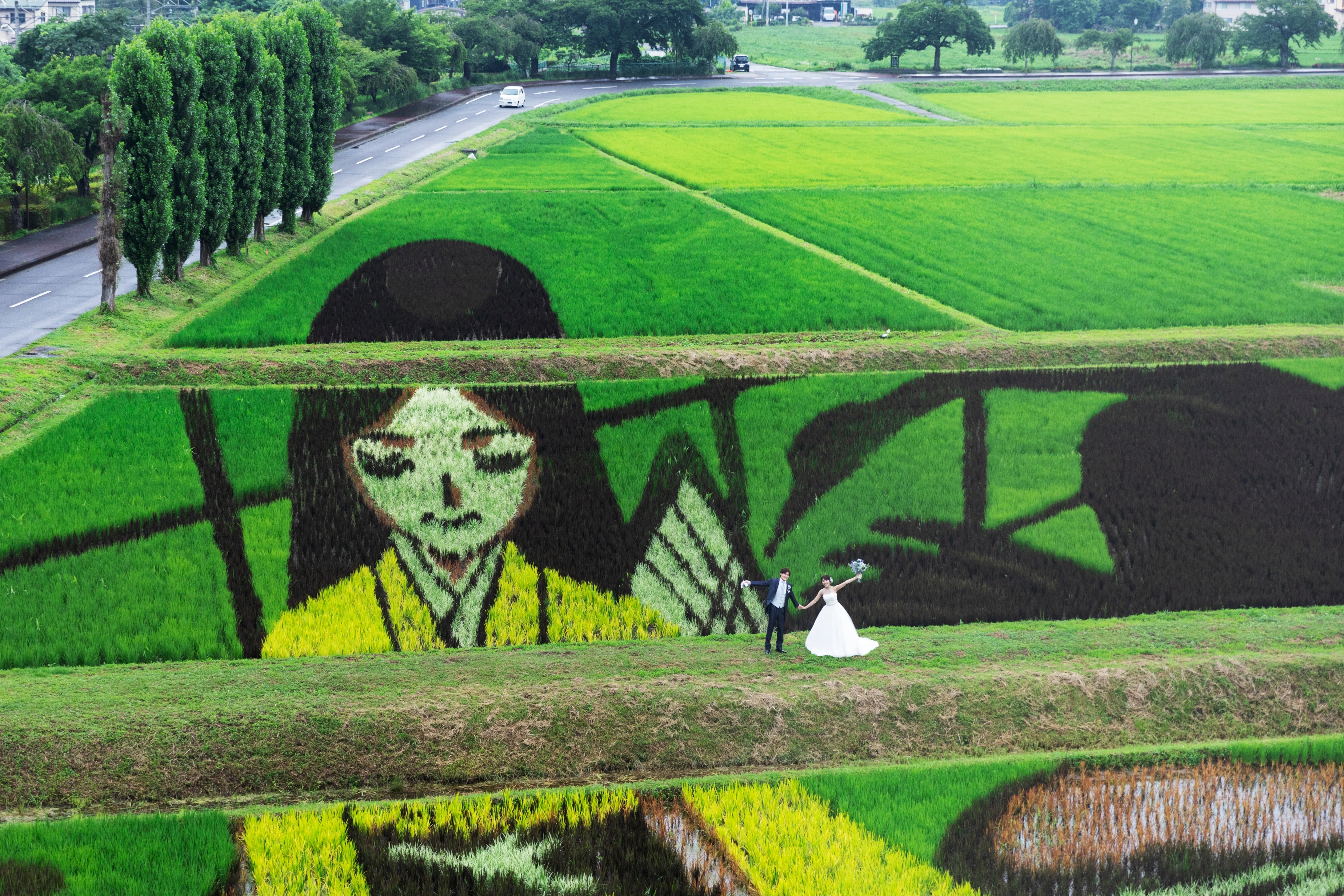 食べごろのお米をおいしく味わう『かがみいし田んぼアート祭』｜八芳園