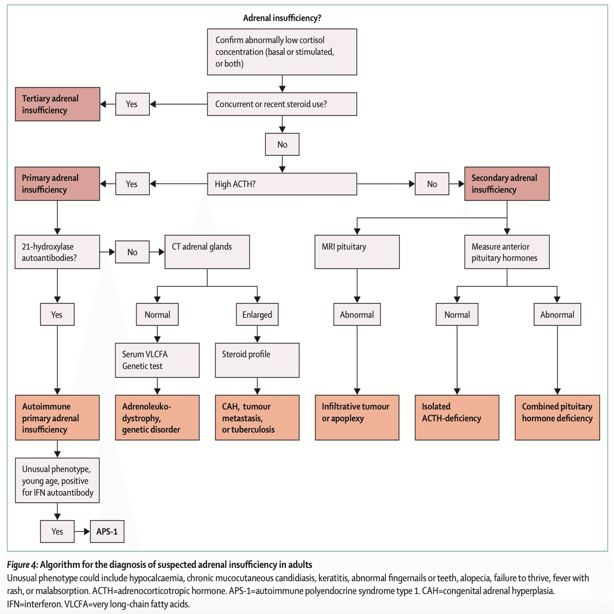 副腎不全の診断・治療｜Gajumaruのメディカルワークアウト
