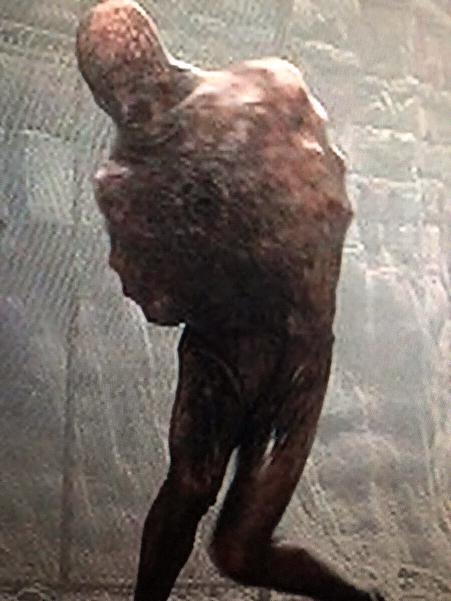 映画 『サイレントヒル』 ： 霧と闇の 〈黄泉の国〉｜年間読書人