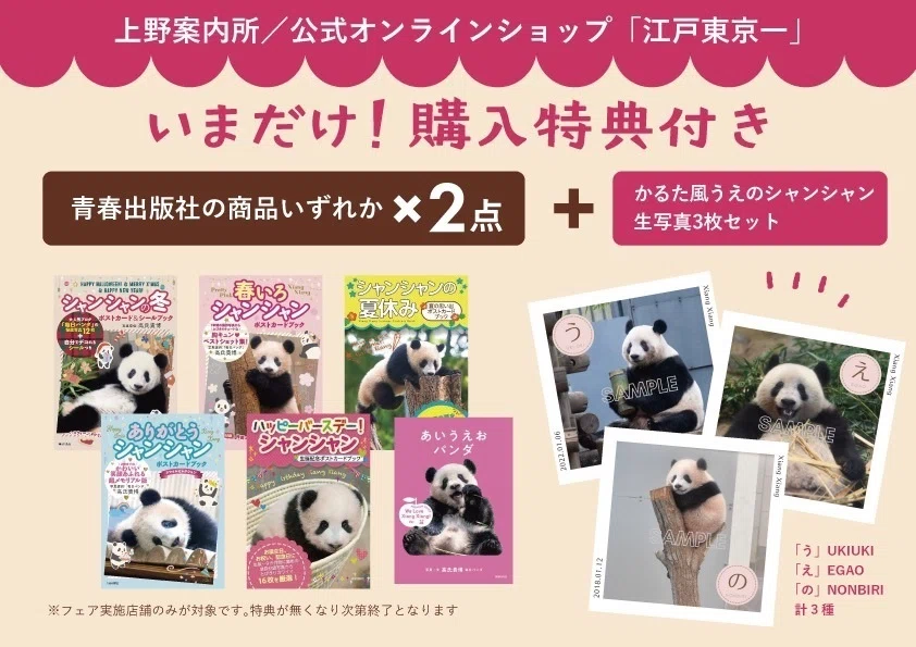 青春出版社「パンダBOOKフェア」開催中！｜上野案内所