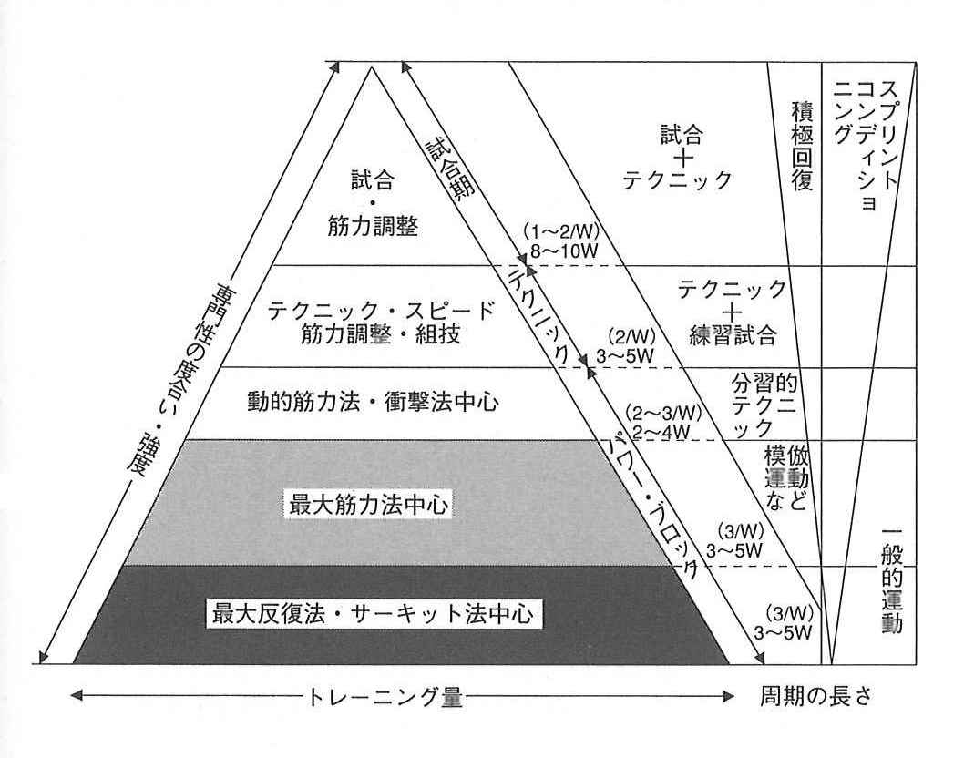 スポーツ・トレーニング理論』第12章 トレーニング構成の計画