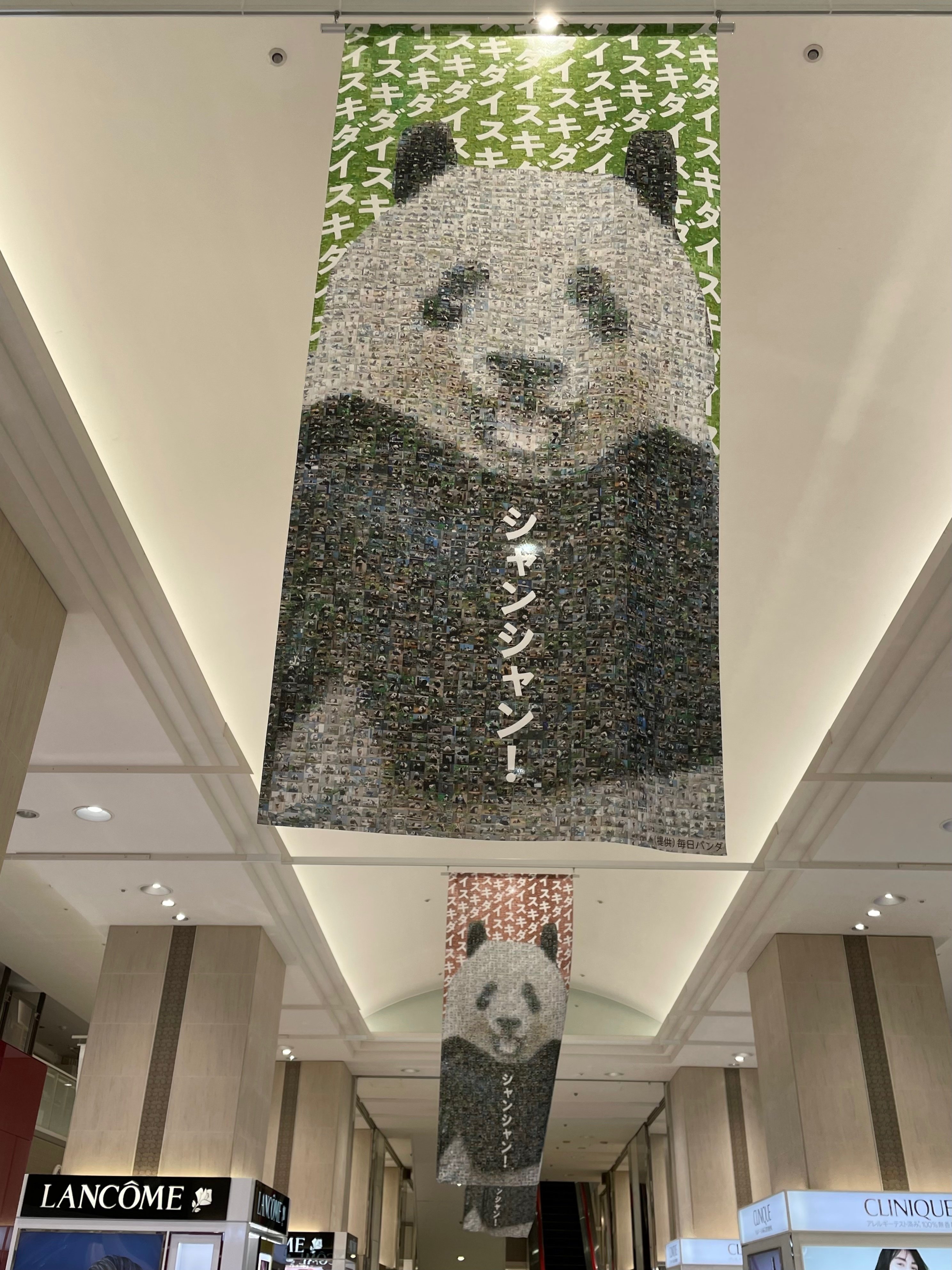 920日 シャンシャンポストカード」2018.04.29 松坂屋上野店 毎日