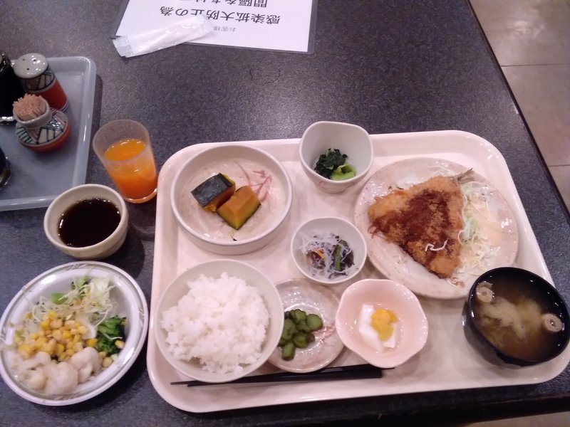 夕食＋朝食つきで１泊３８５０円なので、泊まってみた。😊　こちらは、到着後、コンサートから戻って来て、頂いたアジフライ定食。