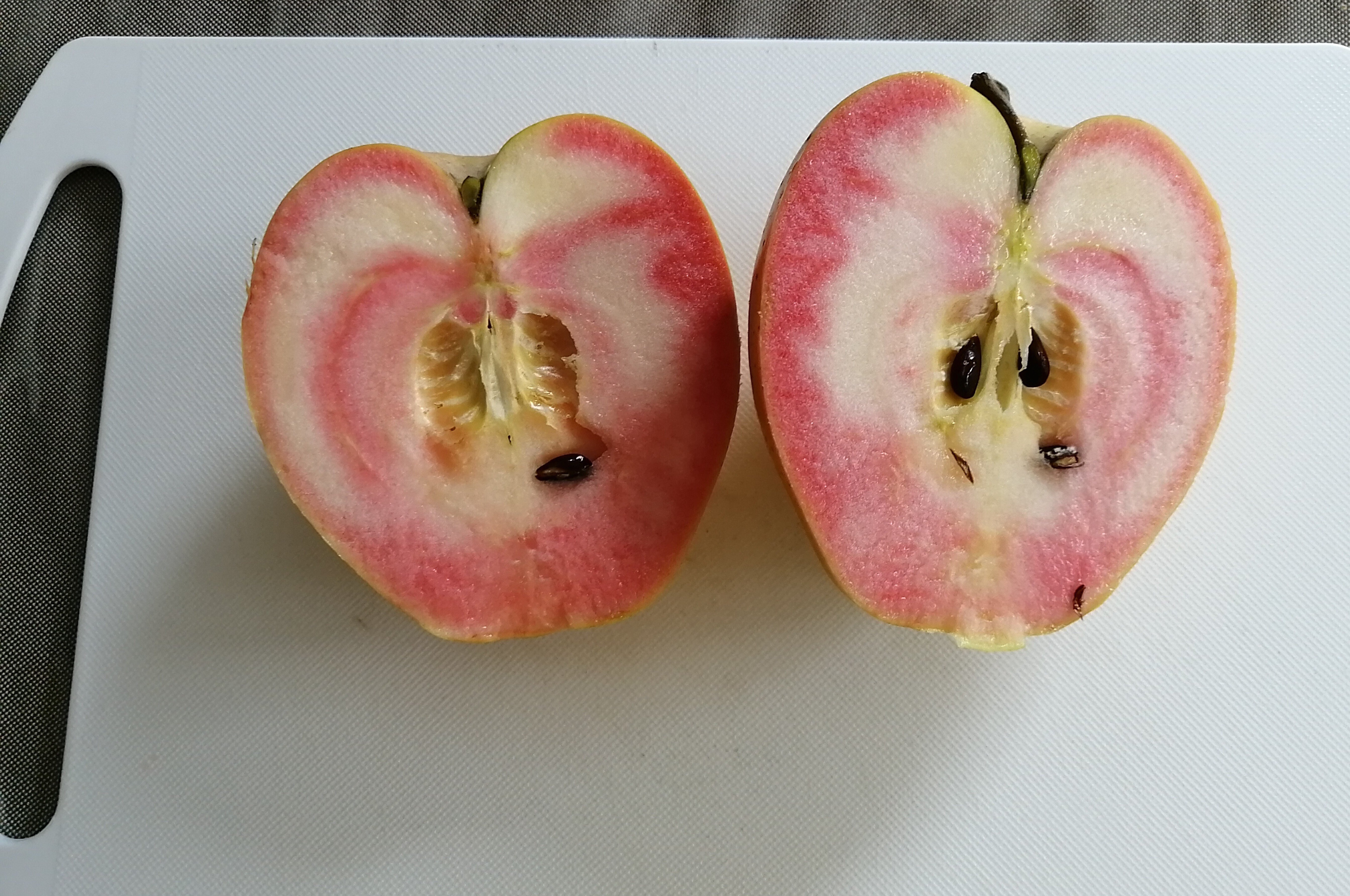 レシピ】赤いりんごのコンポート｜ミカミアカネ