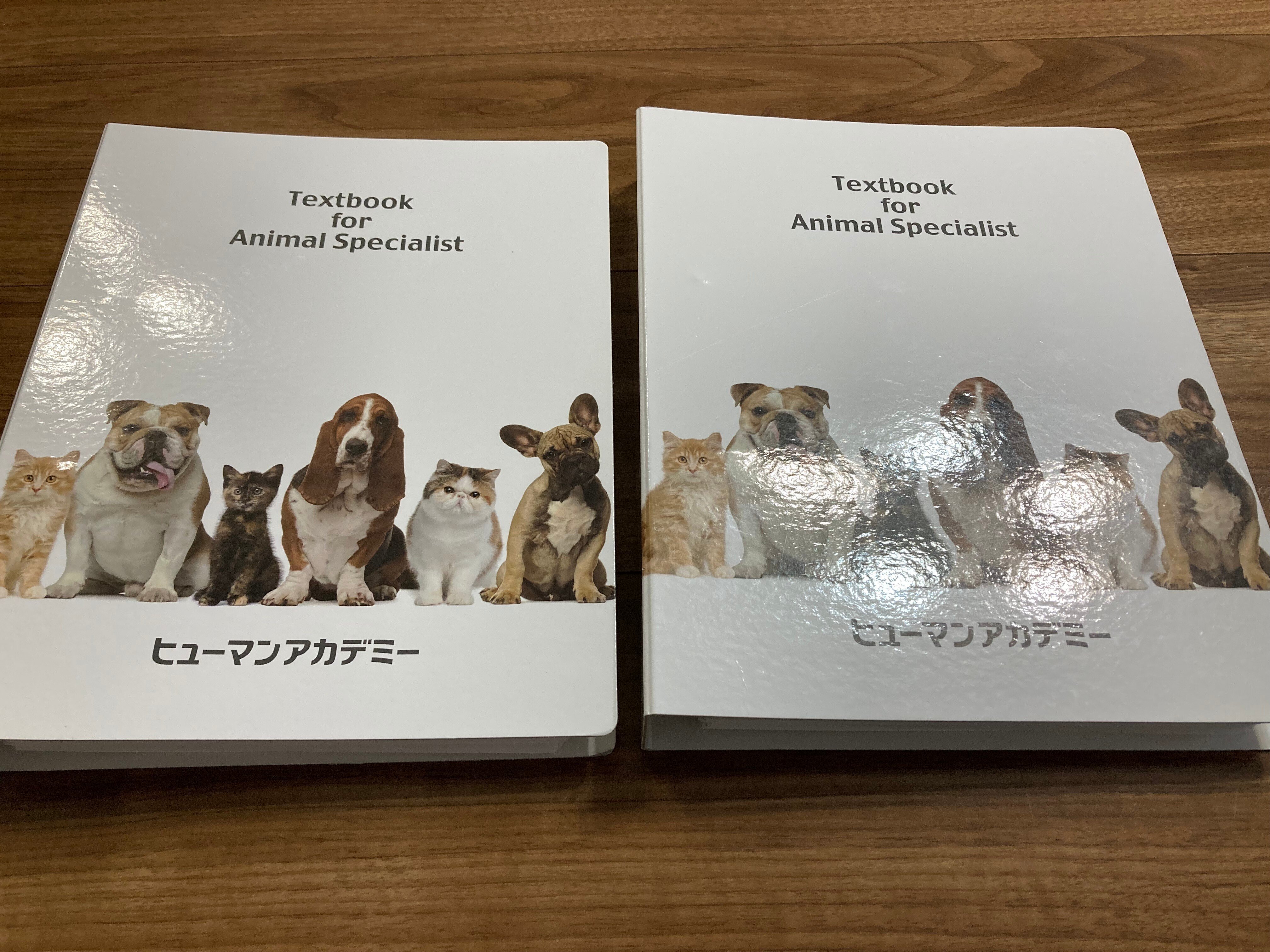 キャットケアスペシャリスト&キャットシッター資格取得 振り返り