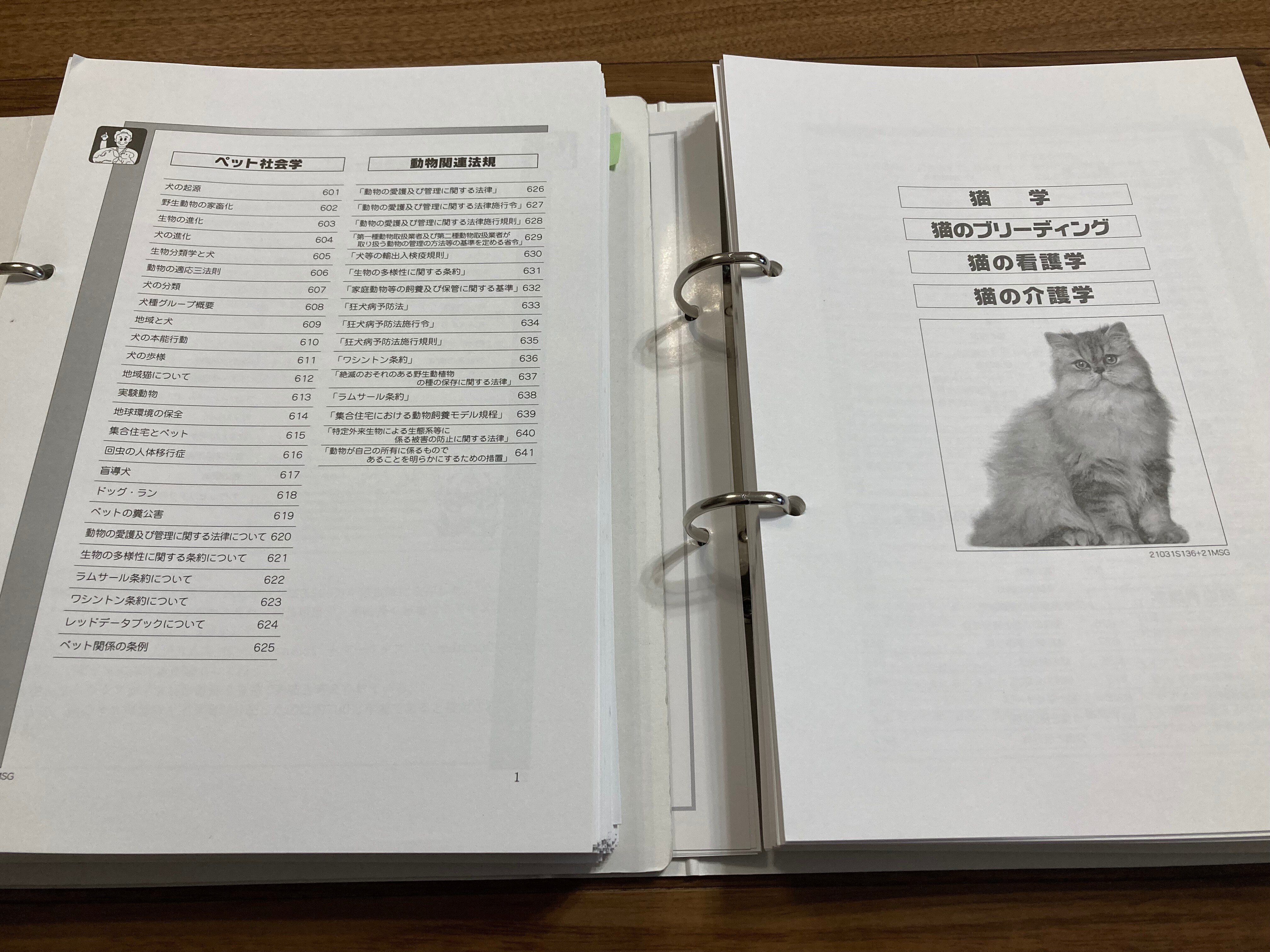 キャットケアスペシャリスト&キャットシッター資格取得 振り返り｜高橋