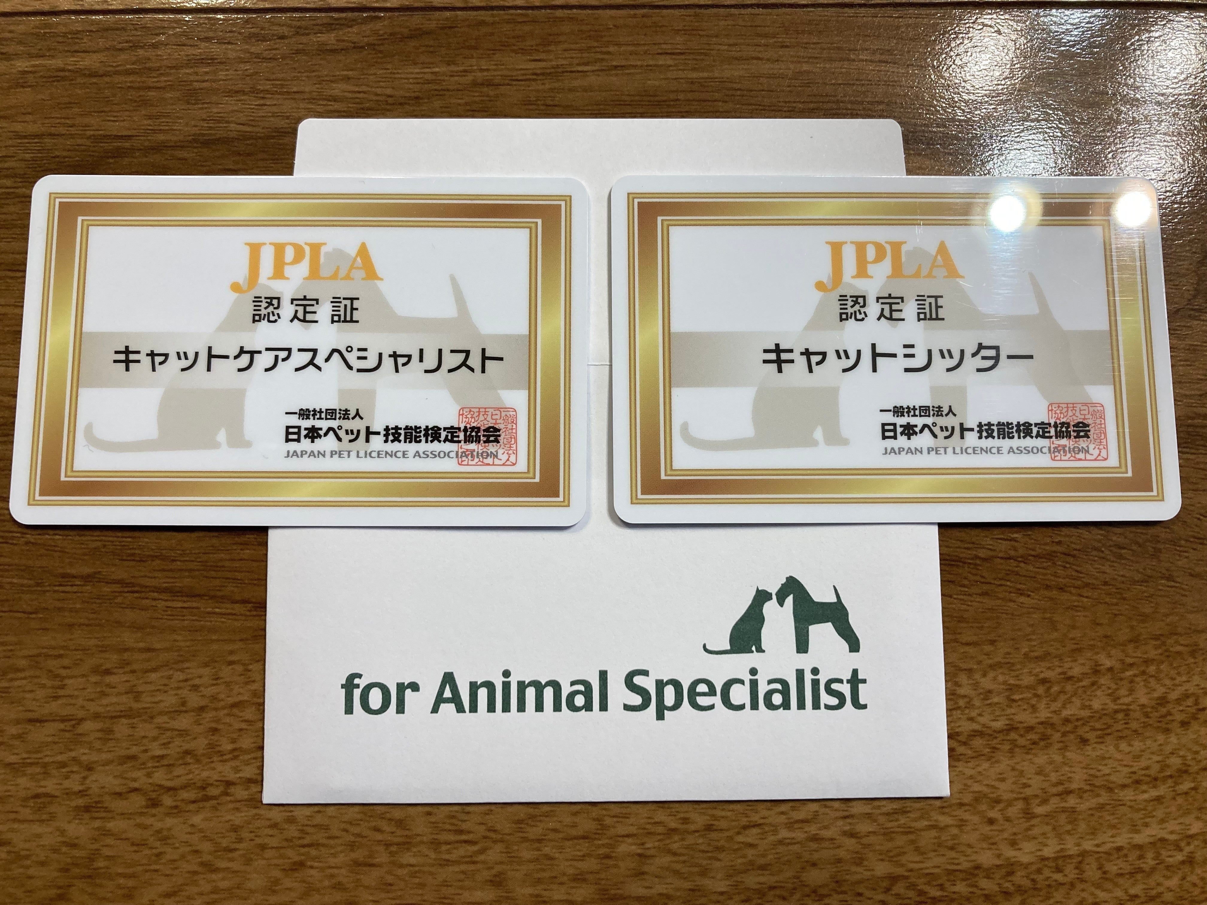 キャットケアスペシャリスト講座|通信教育講座で資格なら