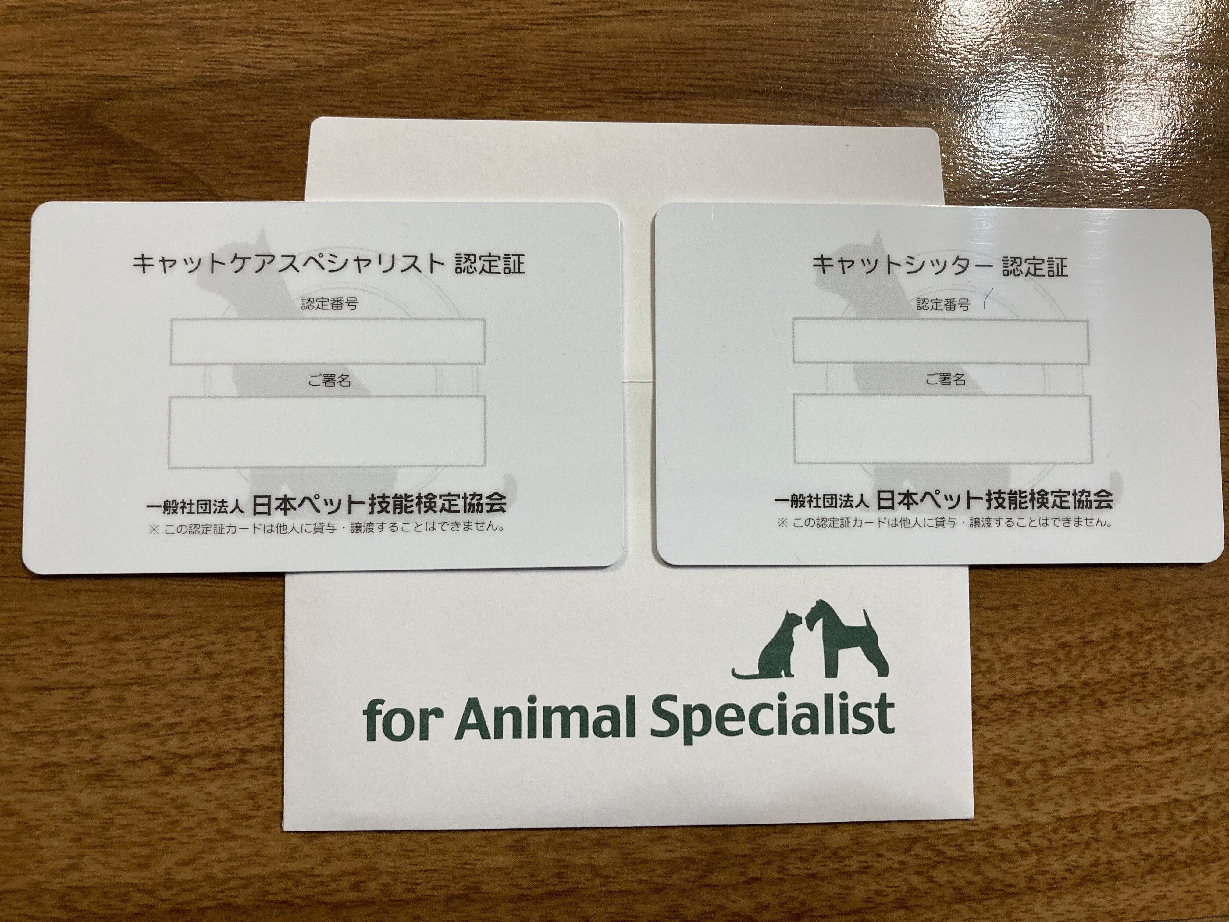 キャットケアスペシャリスト 看護・介護士プラス講座 教材セット一式 キャットケアスペシャリスト講座|通信教育講座で資格なら