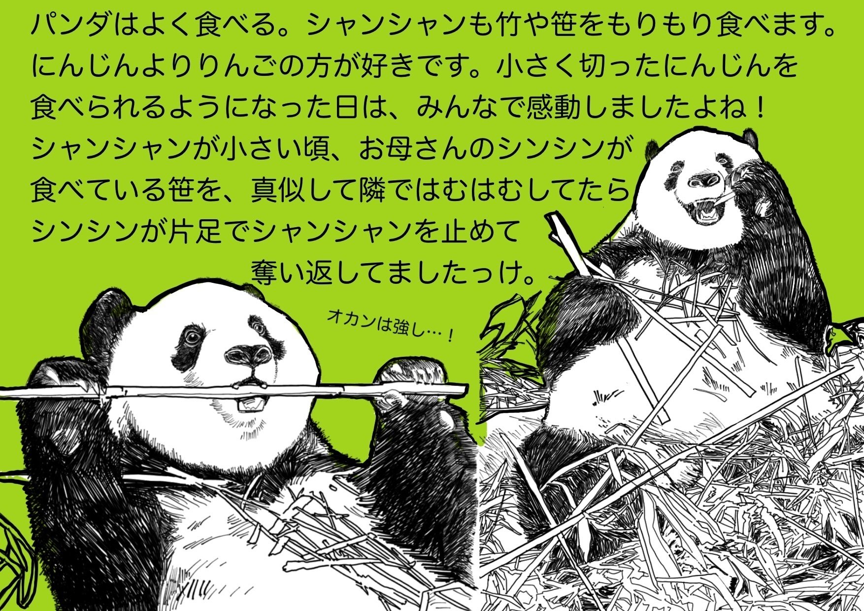 シャンシャン愛を語る！パネル展｜上野案内所