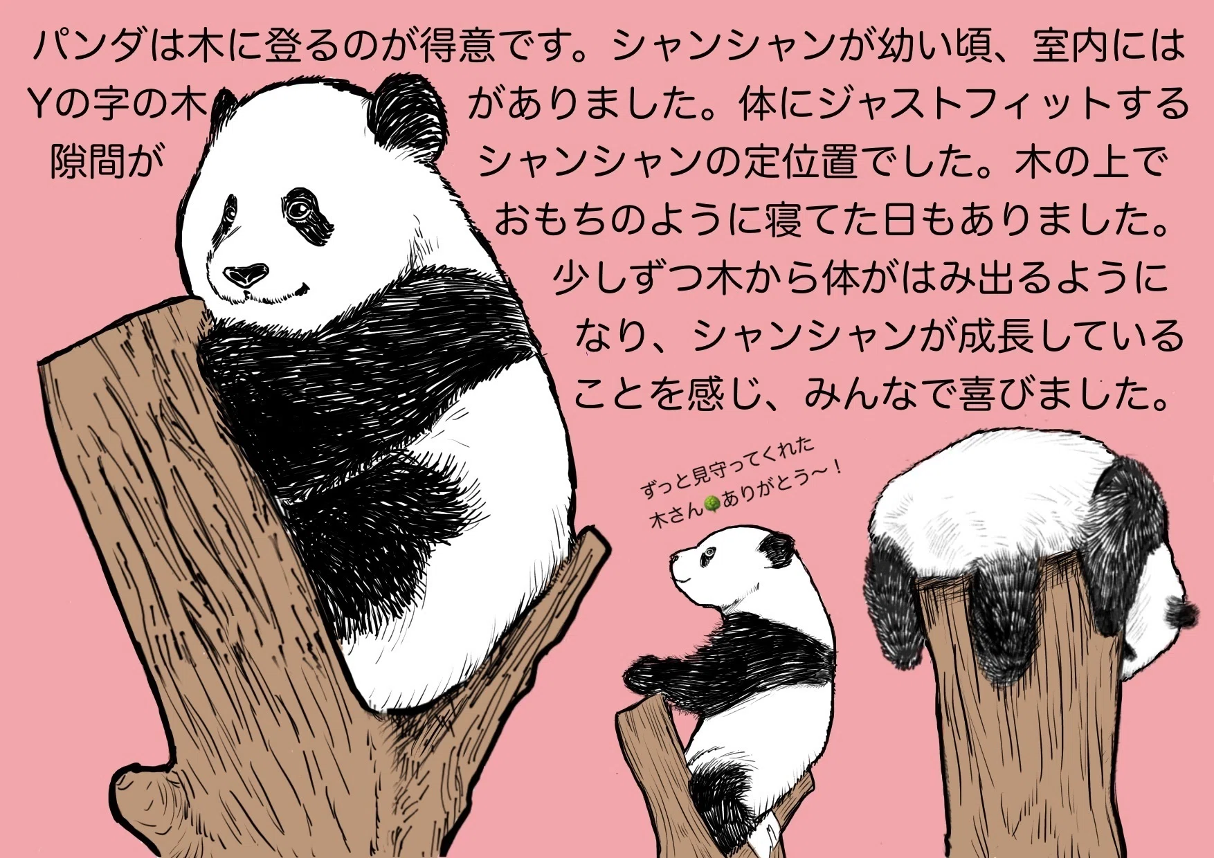 シャンシャン愛を語る！パネル展｜上野案内所