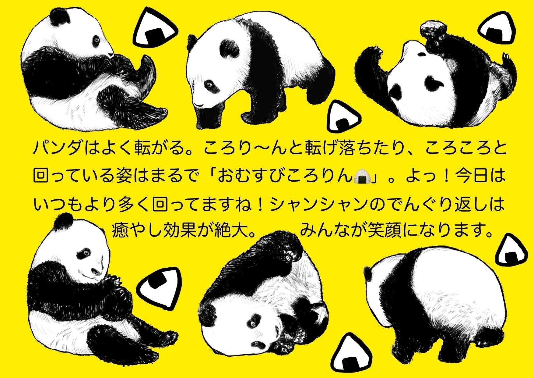 シャンシャン愛を語る！パネル展｜上野案内所
