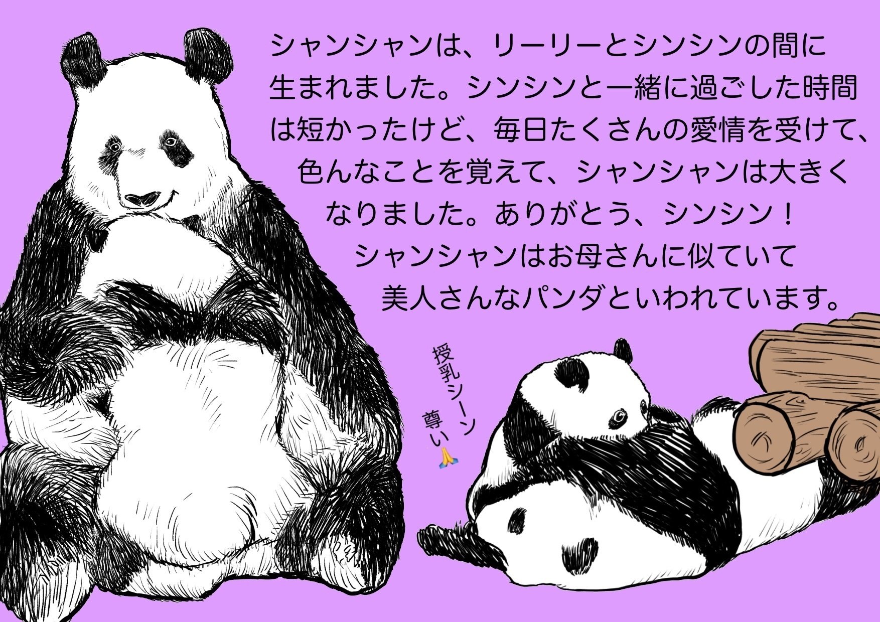 シャンシャン　パネル シャンシャン愛を語る！パネル展｜上野案内所