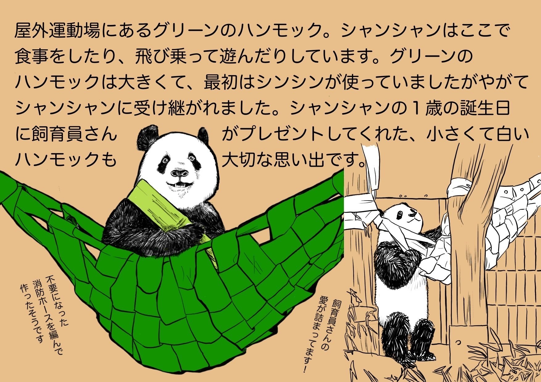 シャンシャン　パネル シャンシャン愛を語る！パネル展｜上野案内所