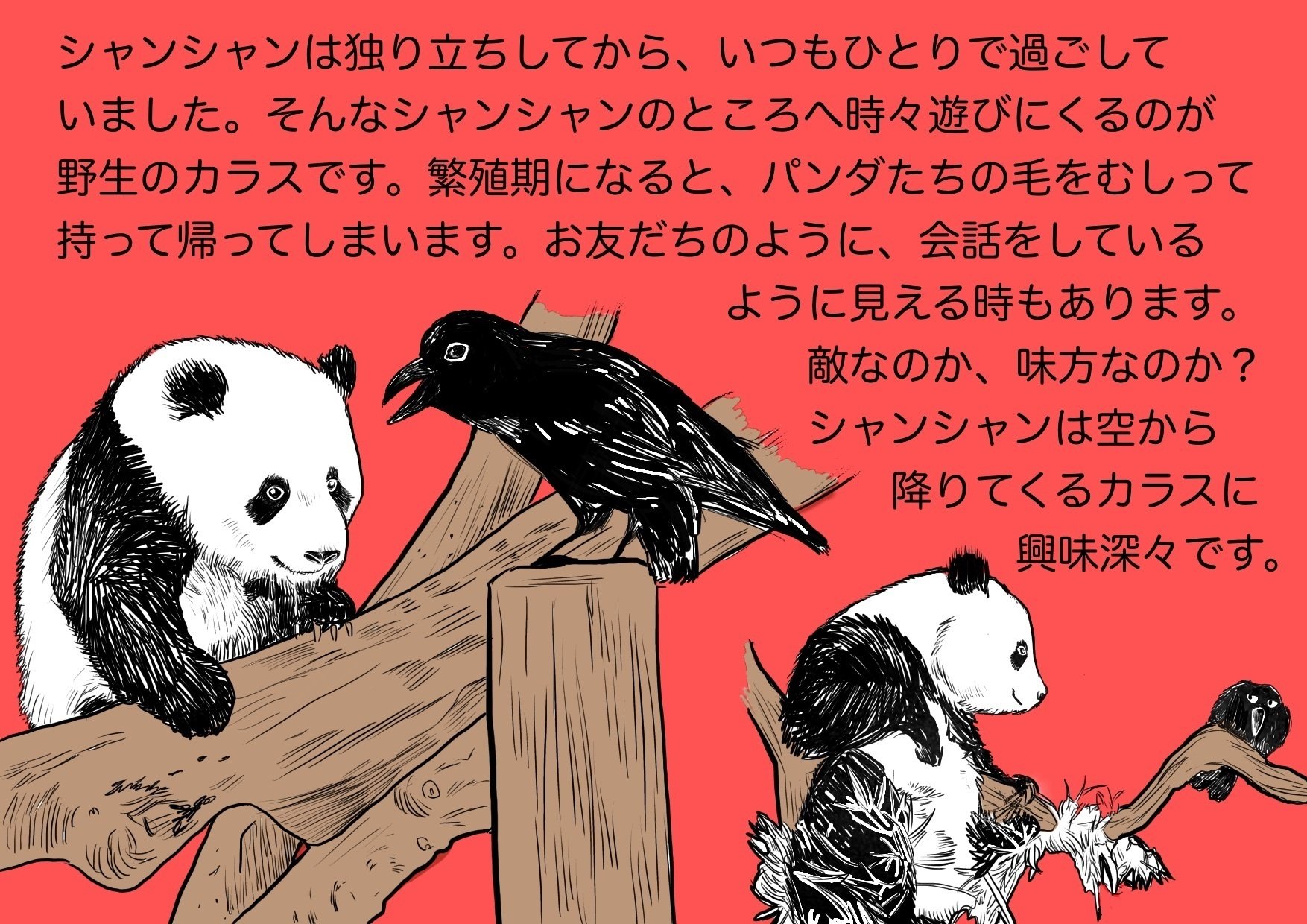 シャンシャン愛を語る！パネル展｜上野案内所