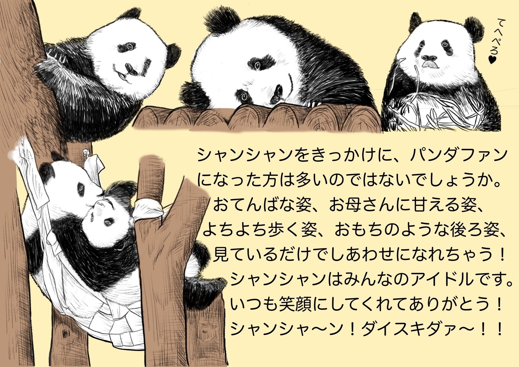 シャンシャン　パネル シャンシャン愛を語る！パネル展｜上野案内所