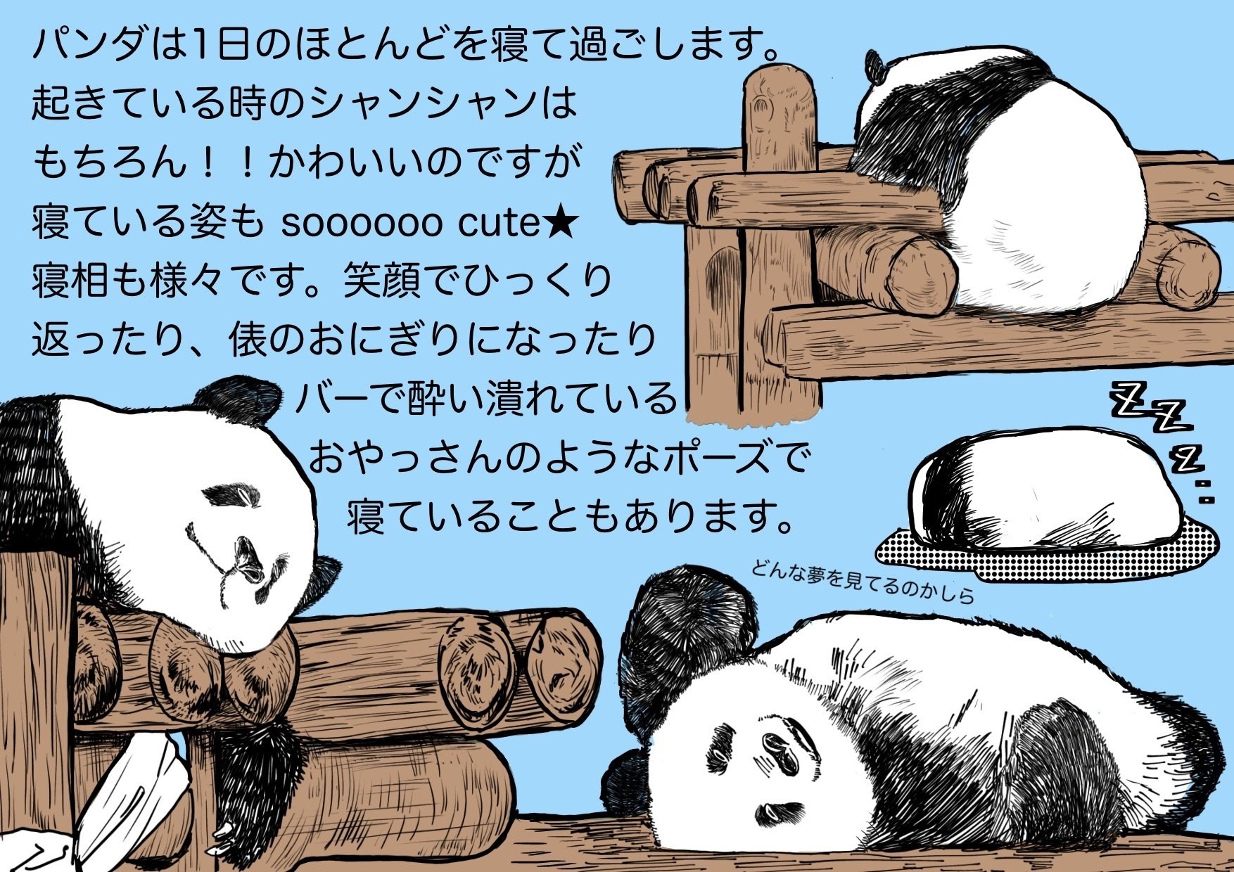 シャンシャン愛を語る！パネル展｜上野案内所