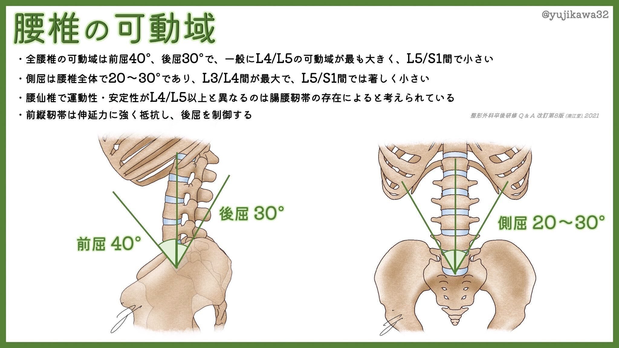 原理運動 立位前屈運動のバイオメカニクスと動作分析【サブスク】｜理学