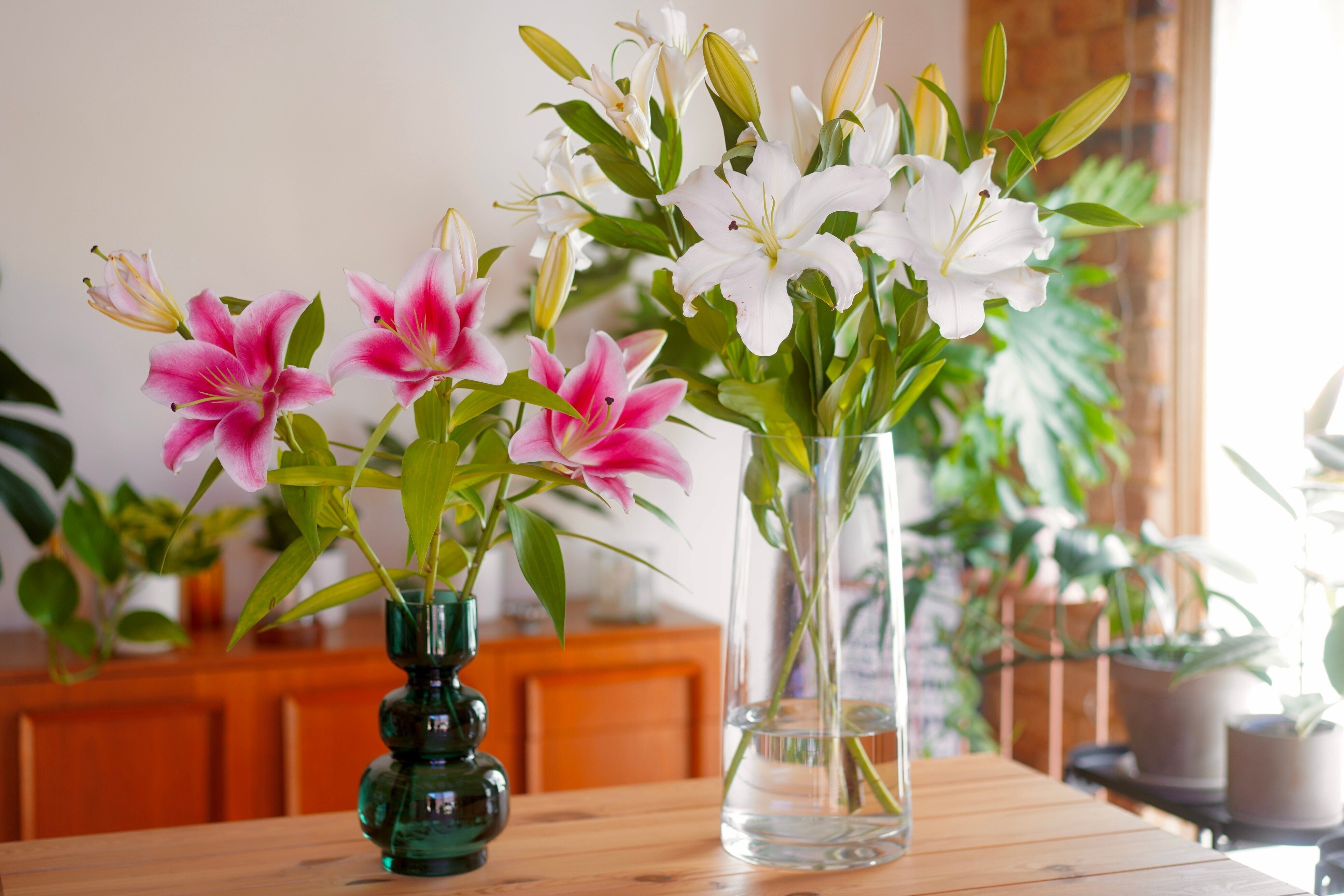 使い方いろいろ、サービングスタンド｜cozy joy | 心地いい暮らし