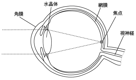 スポーツビジョン医科学教本 改訂版』第2章 屈折異常｜浅野（月刊