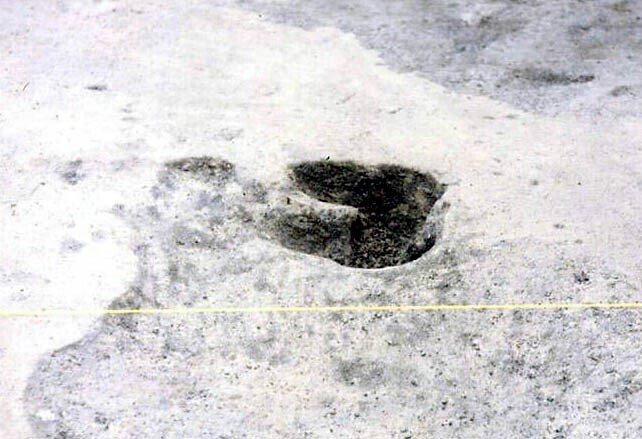 安曇野から発信する潤一博士の目】26～足跡も化石になる～｜絵本美術館