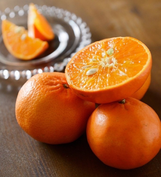 みかん推しにオススメ☆2月に絶品のみかん・オレンジ7選！｜ミサキ