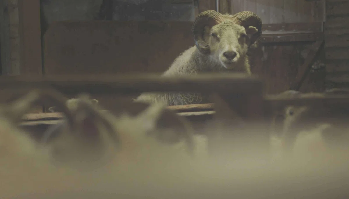 映画『LAMB/ラム』【考察】※ネタバレ有 / アダの正体とマリアの役割 