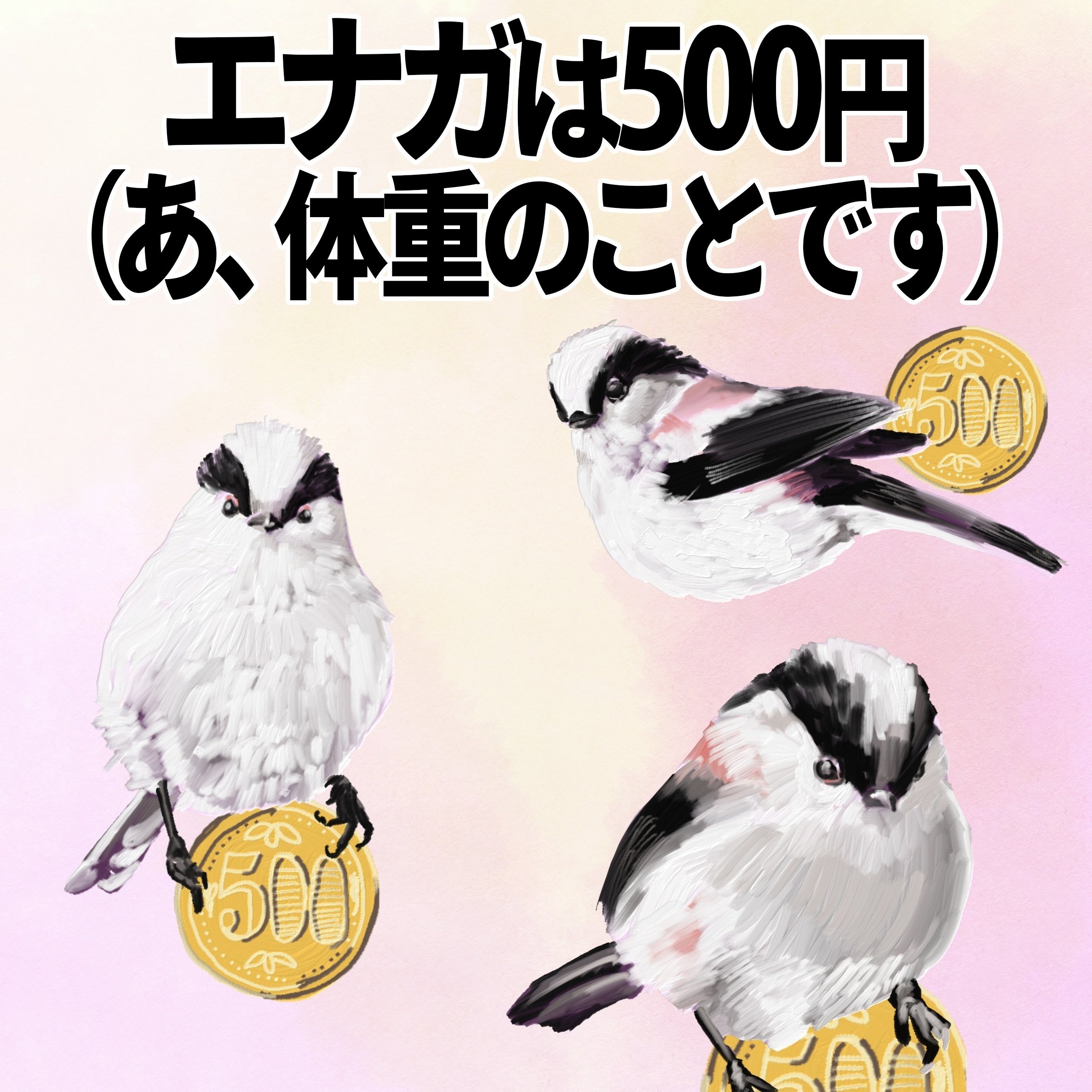 エナガは500円（あ、体重のことです）｜くますけ｜自然ガイド