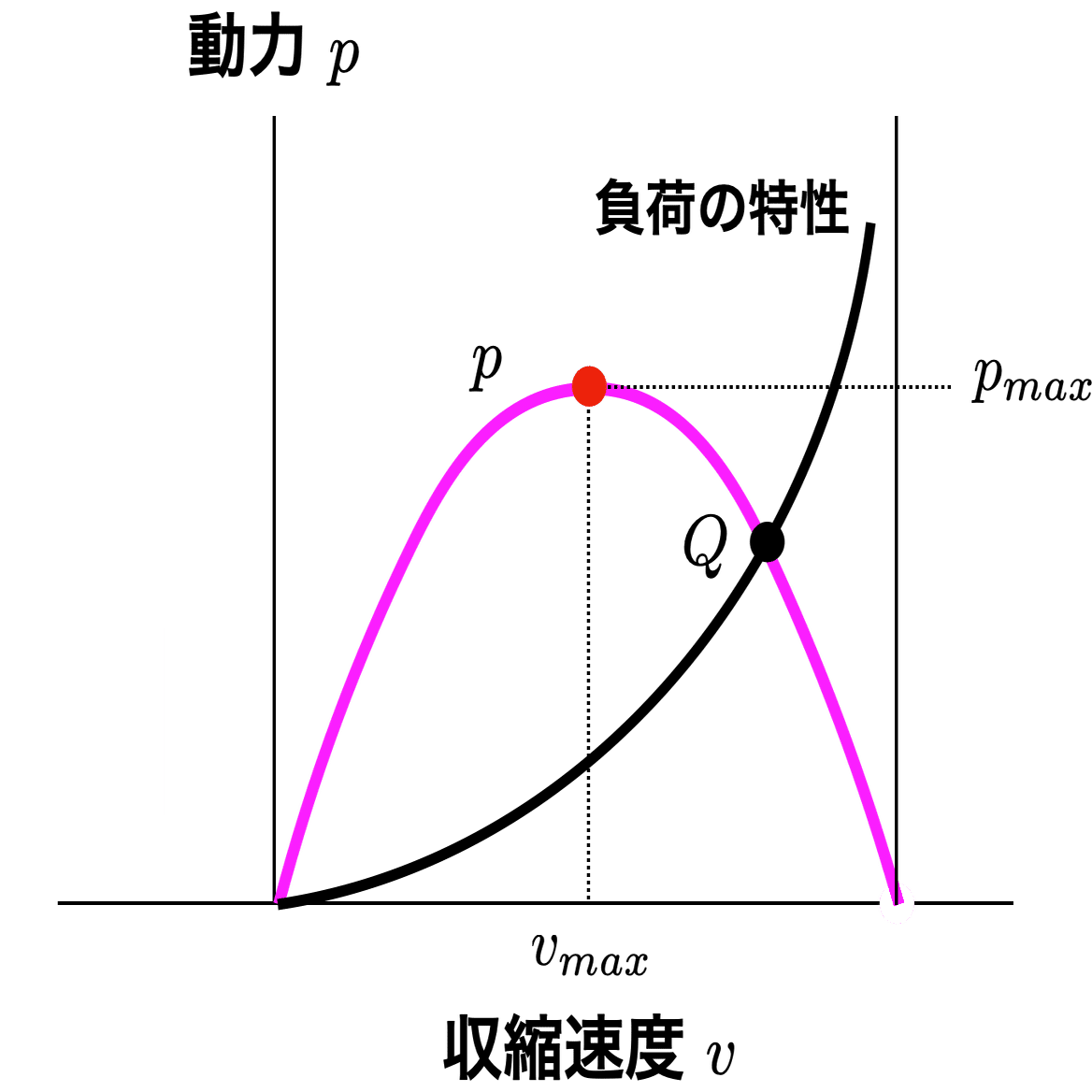 動かして学ぶバイオメカニクス #19 〜身体運動におけるインピーダンス