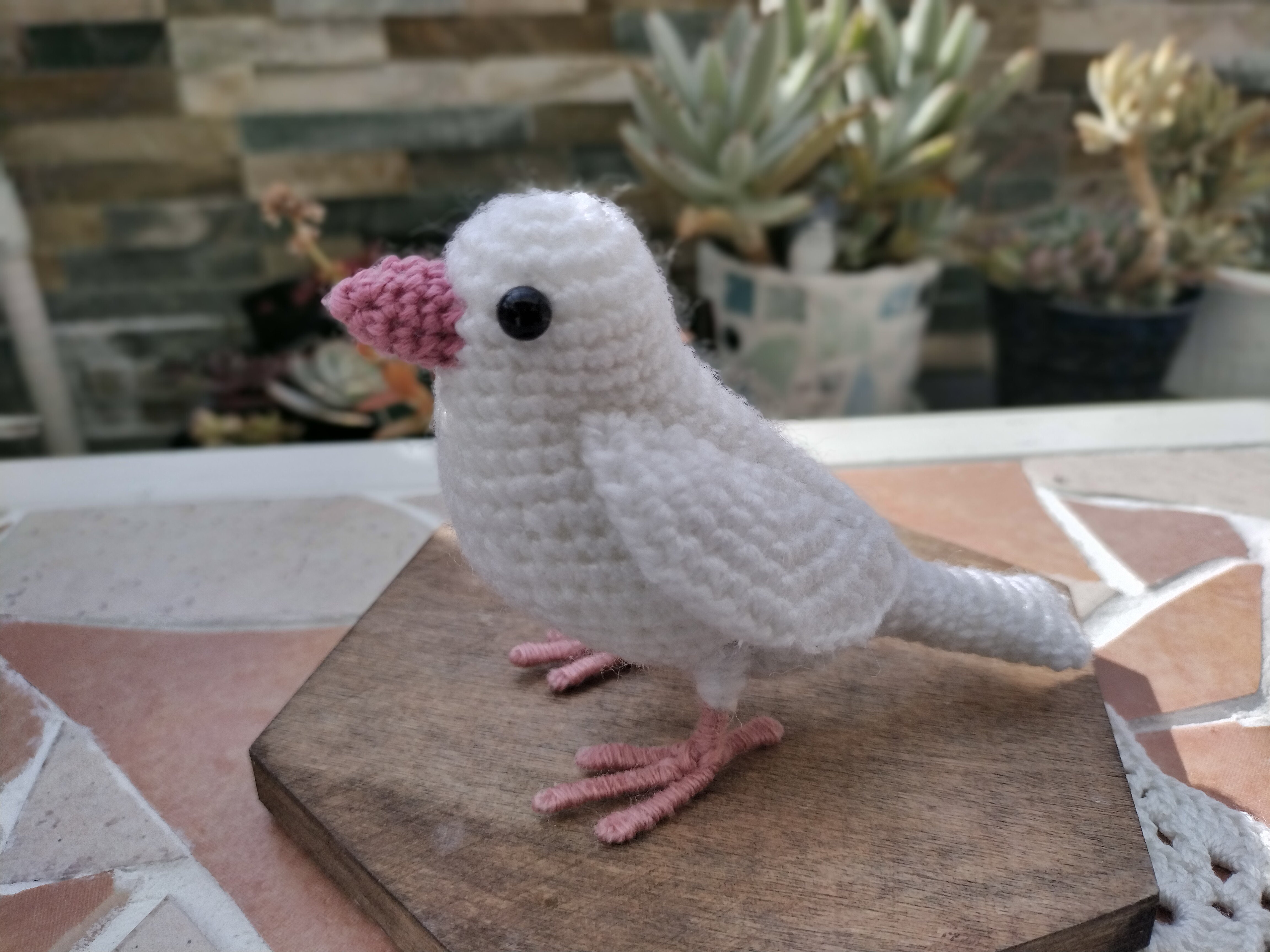 オーダー専用インコ　文鳥　編み小物 2025年最新あみぐるみ文鳥の人気アイテム - メルカリ