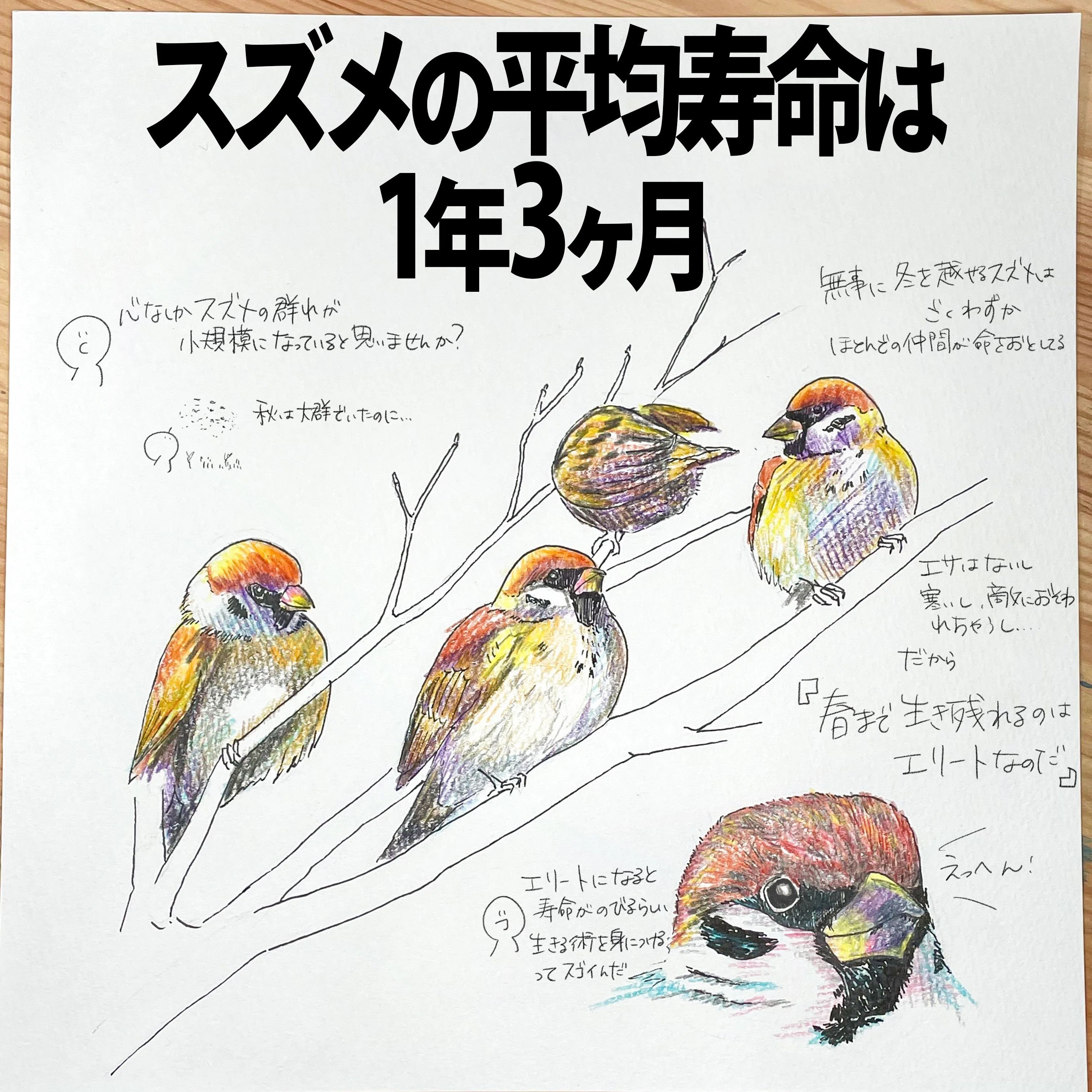 当時のメディア報道・掲載写真