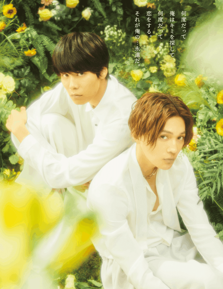 美しい彼」シーズン2始まったから布教してみる｜nopopo