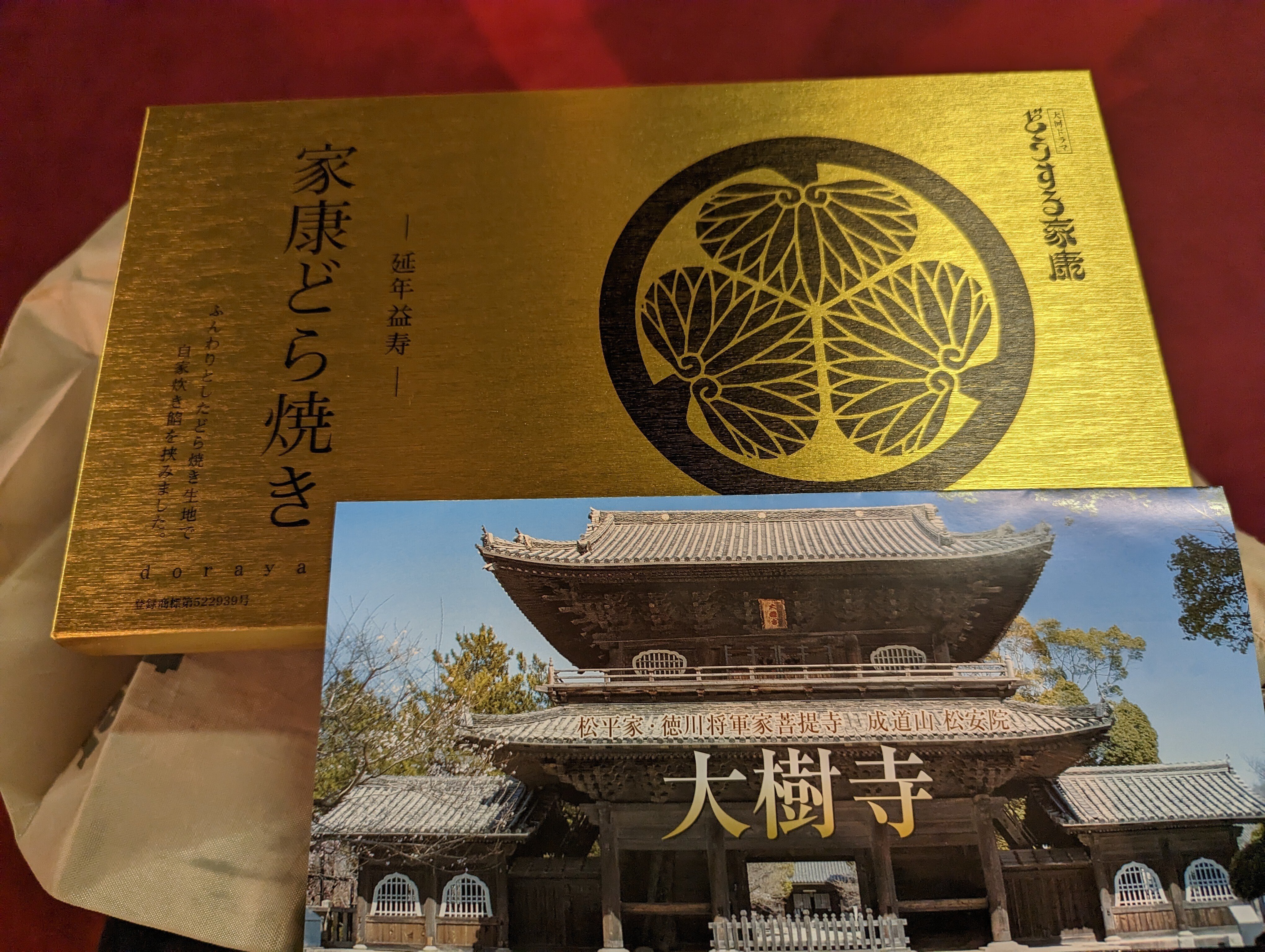 【大樹寺様提供物】徳川家康公書物 たくさん歩く(大樹寺)#339｜やん（矢野達也）