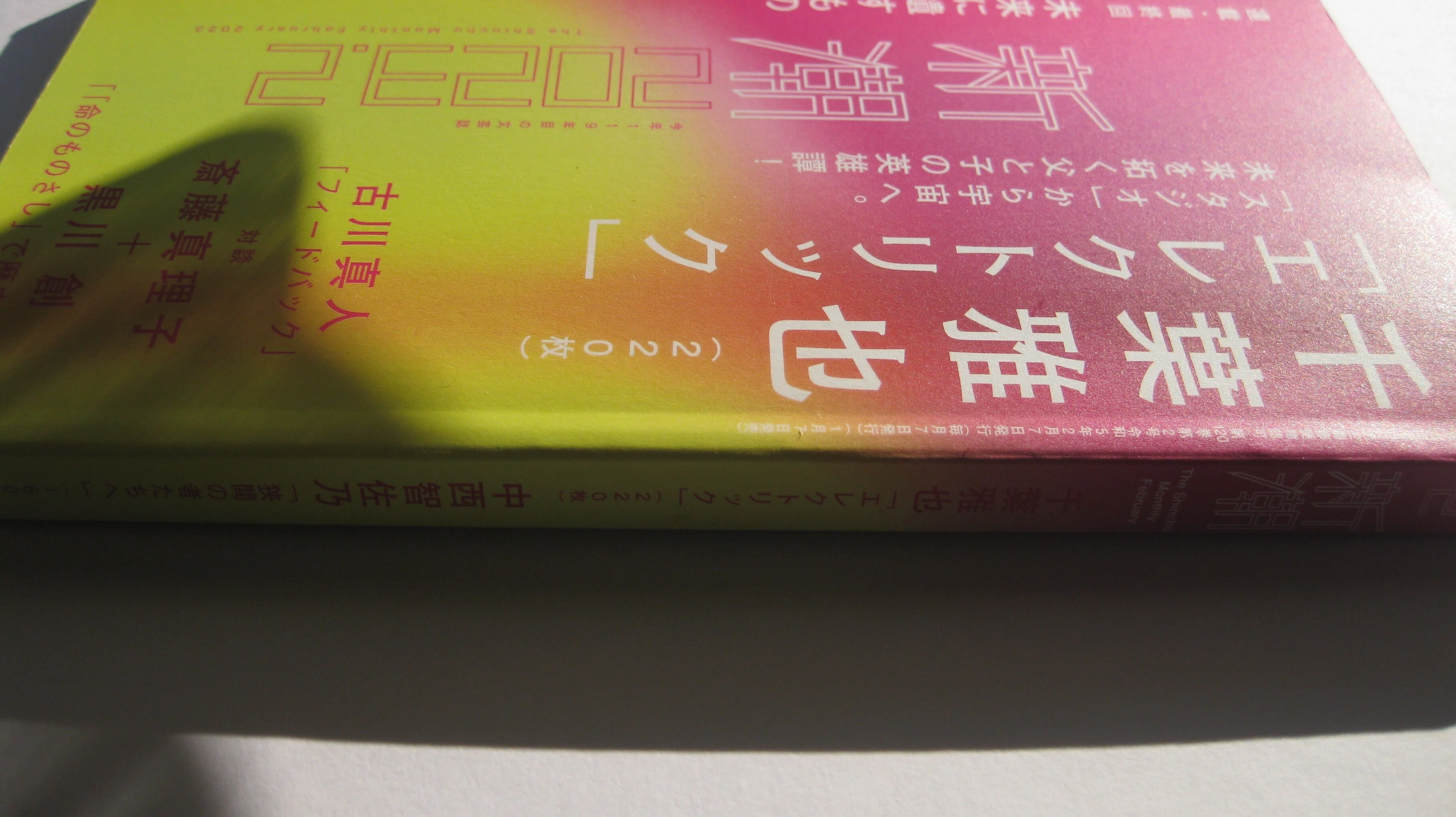 千葉雅也「エレクトリック/〈電子感覚〉の氾濫する電気仕掛けの宇宙