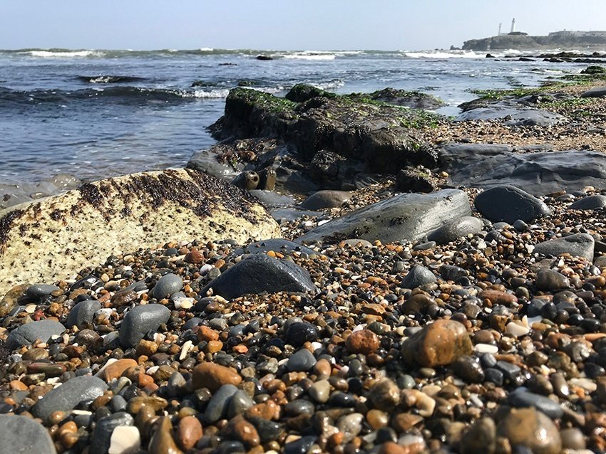 青森を超える石ころ探しの旅、千葉の海 〜ドロップの海岸