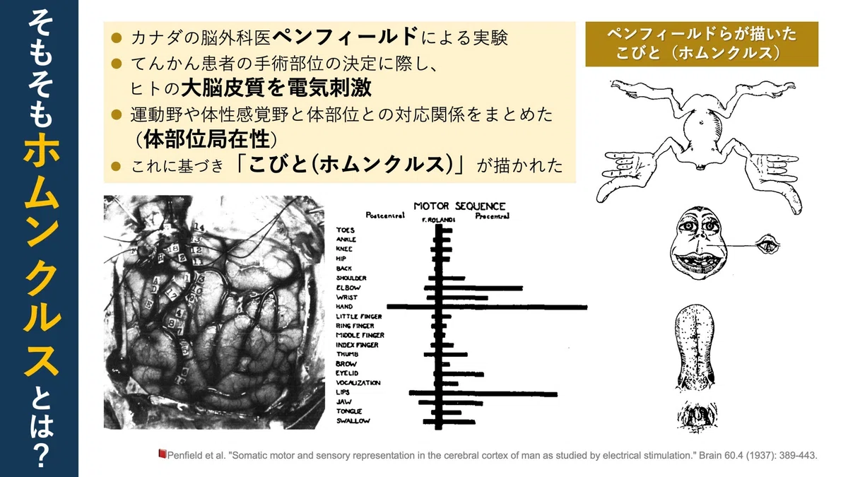  理学療法士／保健学博士 Ph.D. Illustration 